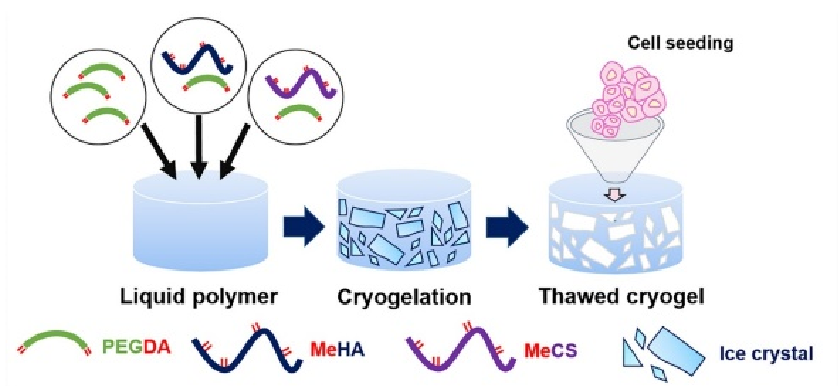 Polymers 14 00839 g007