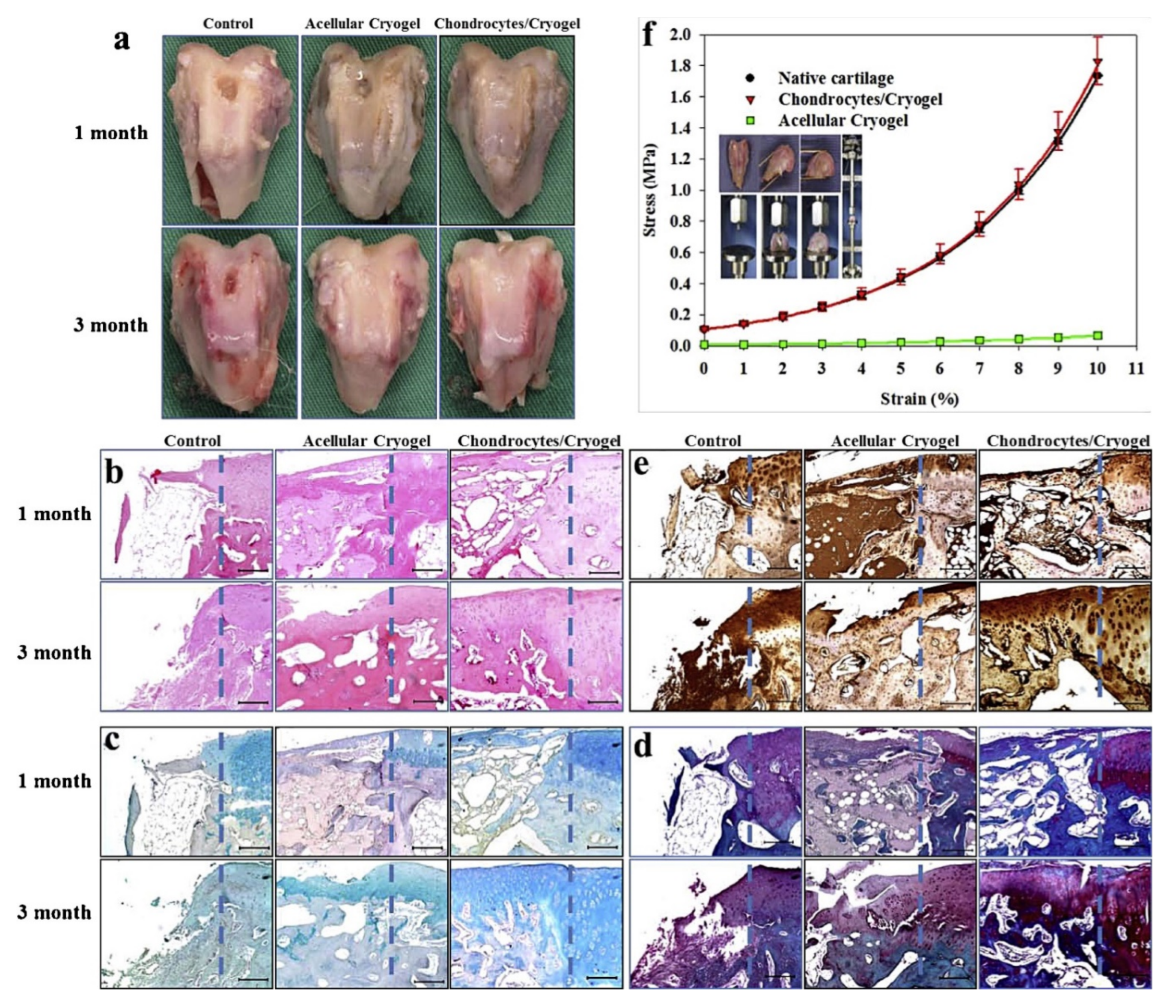 Polymers 14 00839 g008