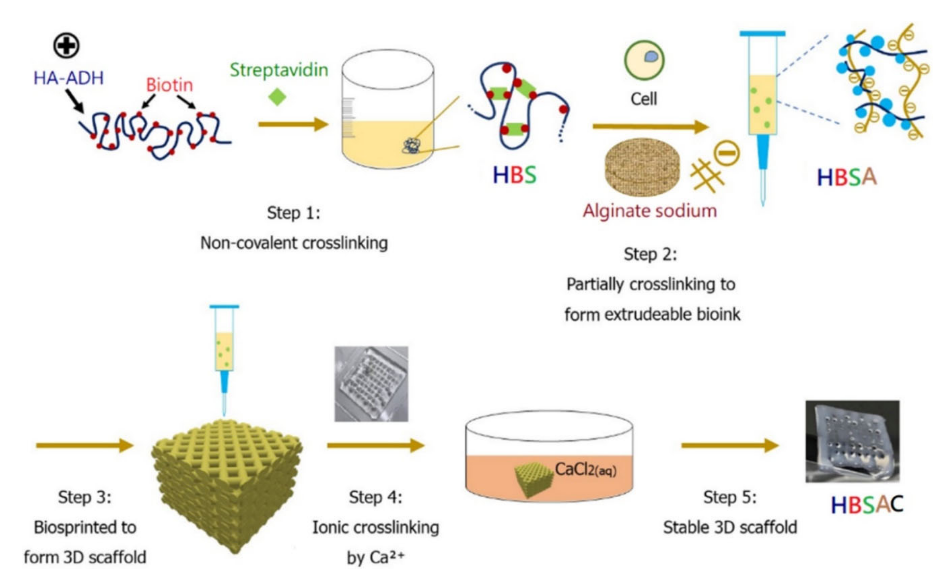 Polymers 14 00839 g010