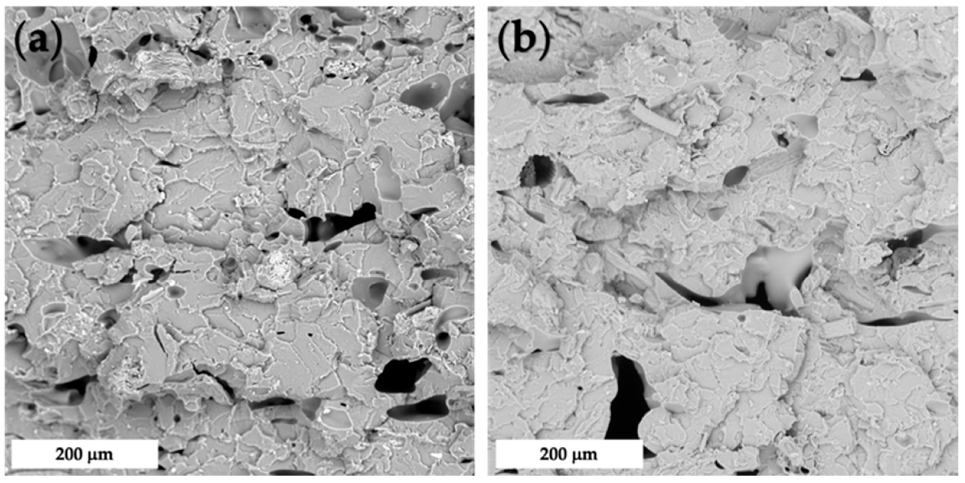 Polymers 14 01198 g005