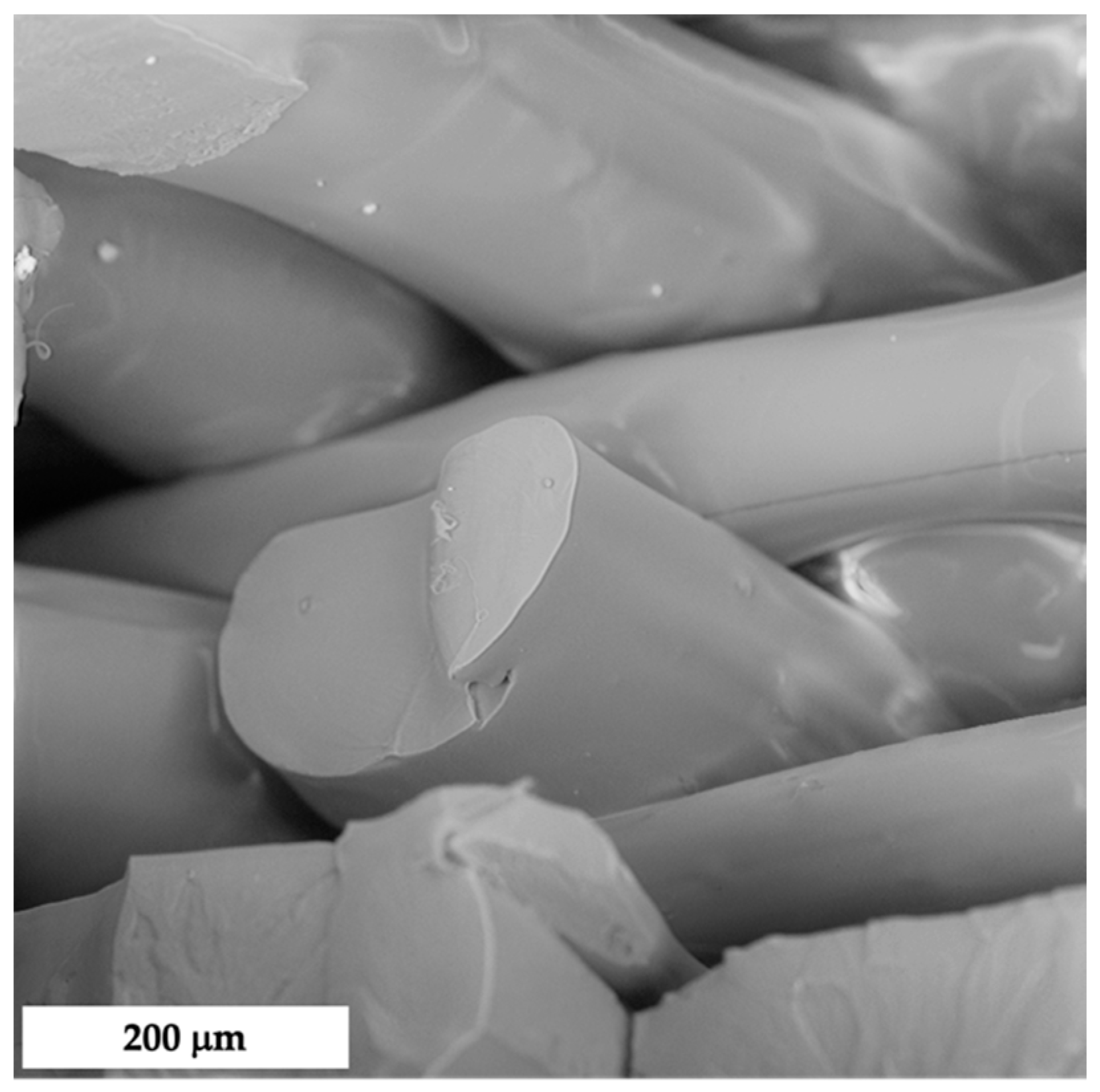 Polymers 14 01198 g006