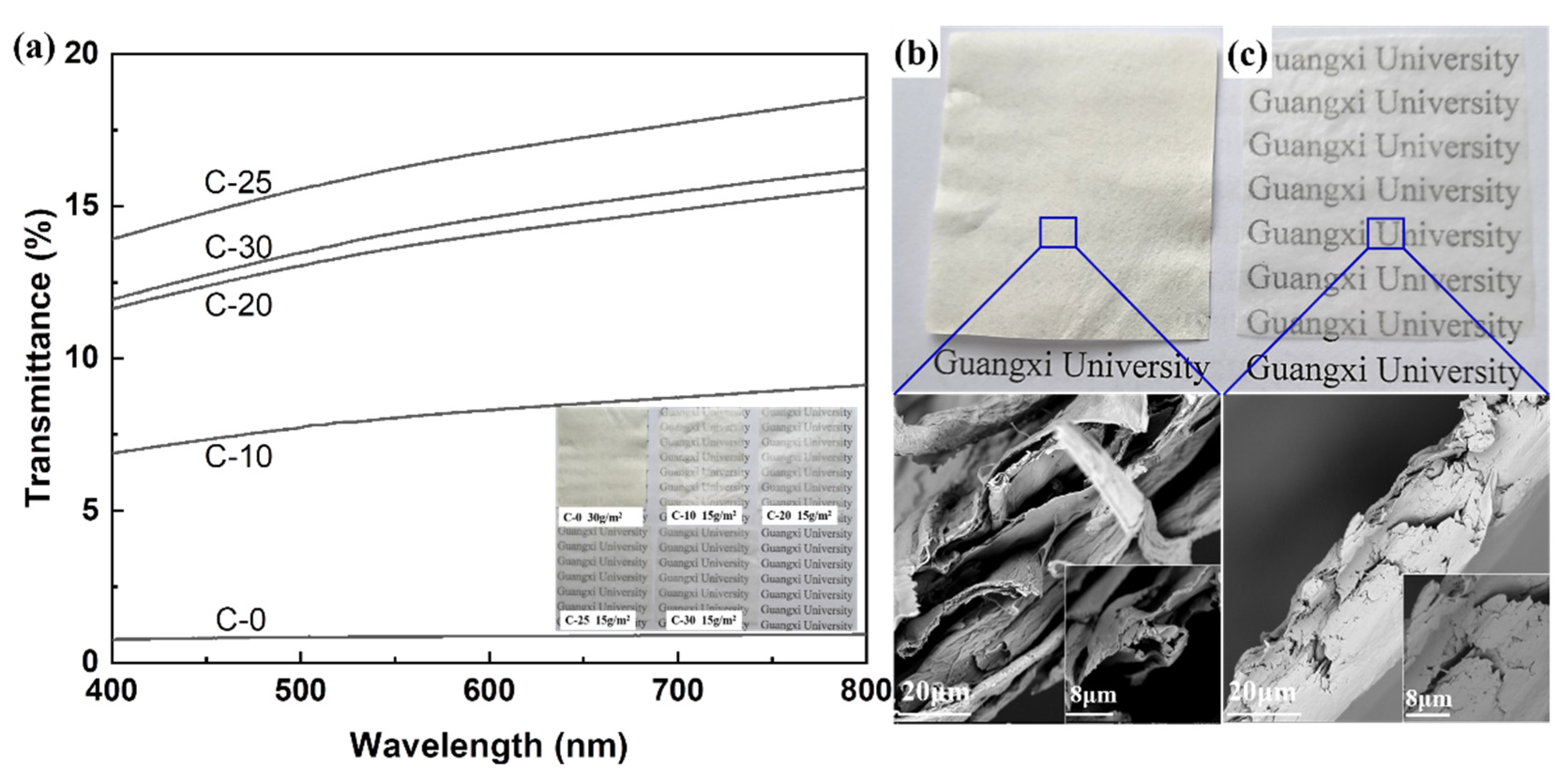Polymers 14 01297 g005