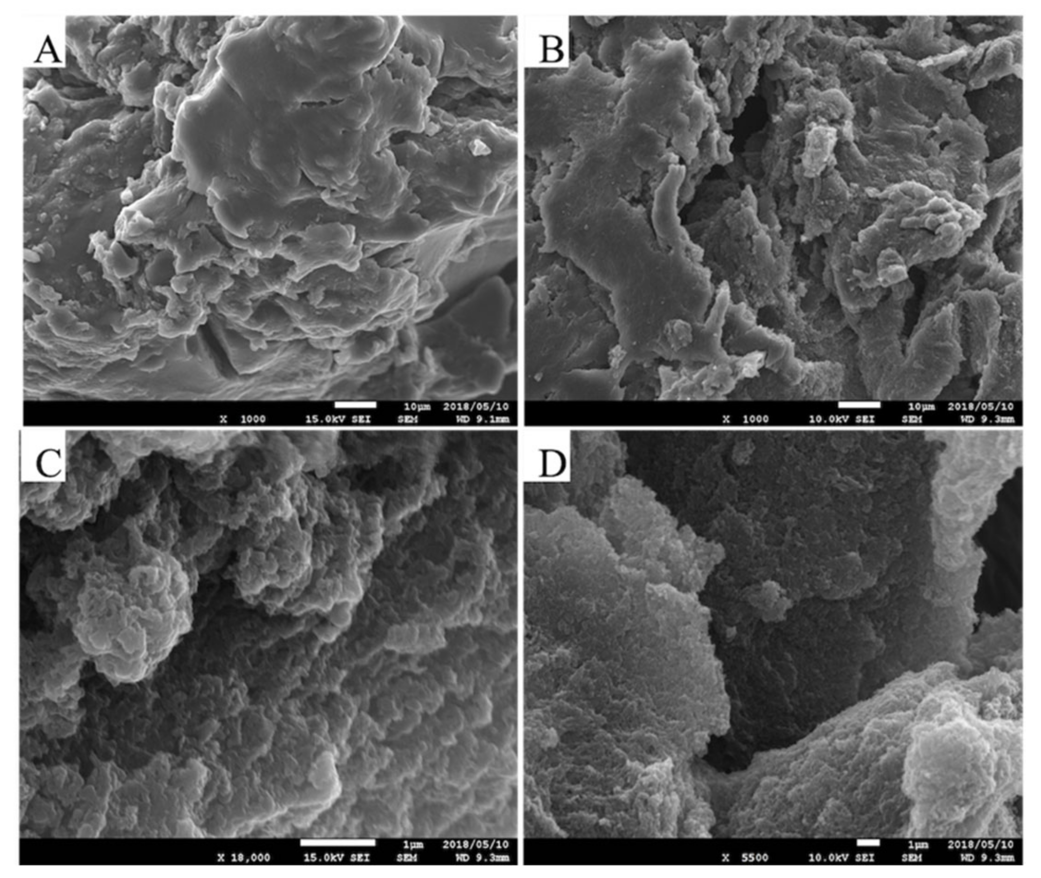 Polymers 14 01562 g006