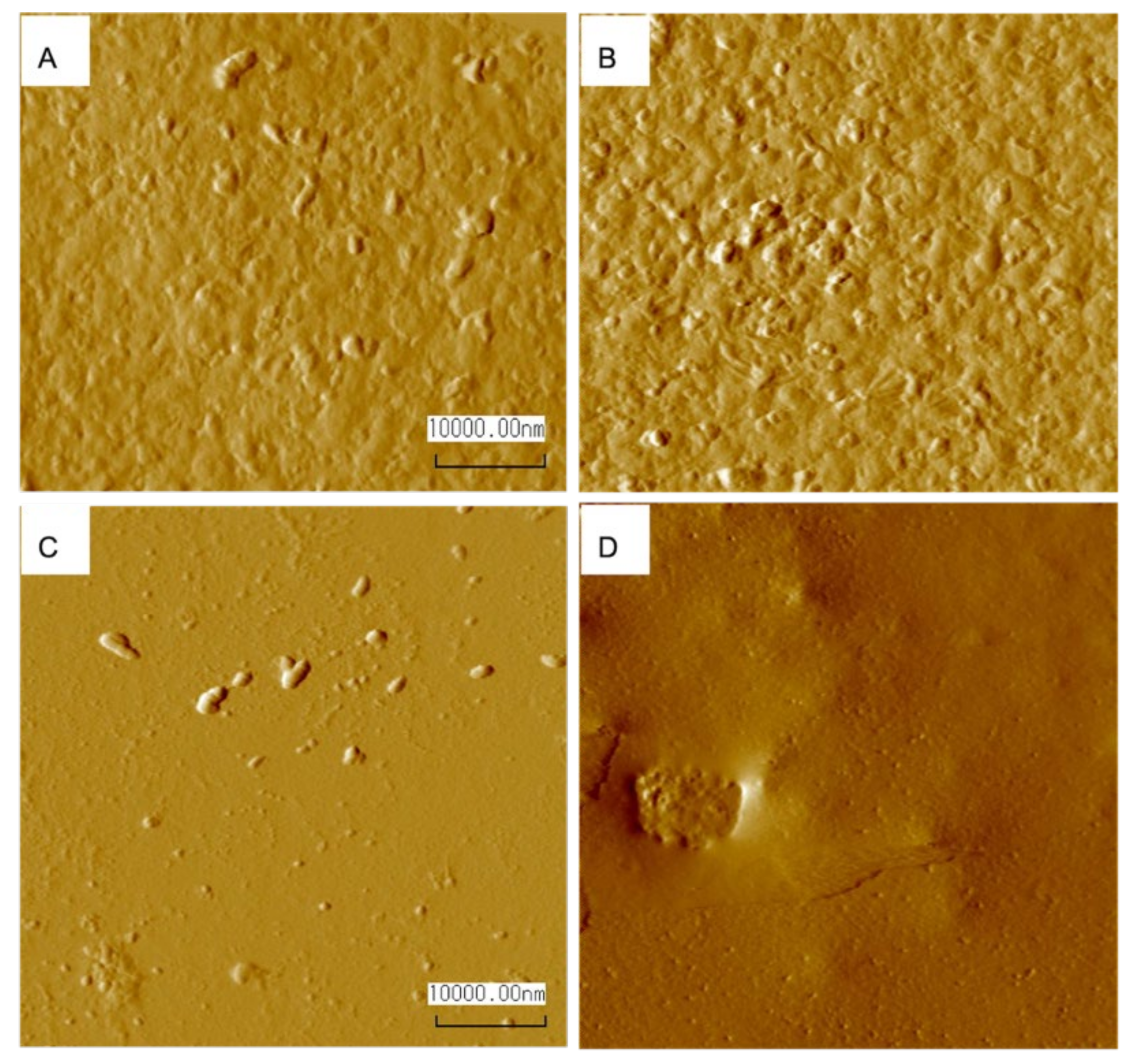 Polymers 14 01562 g007