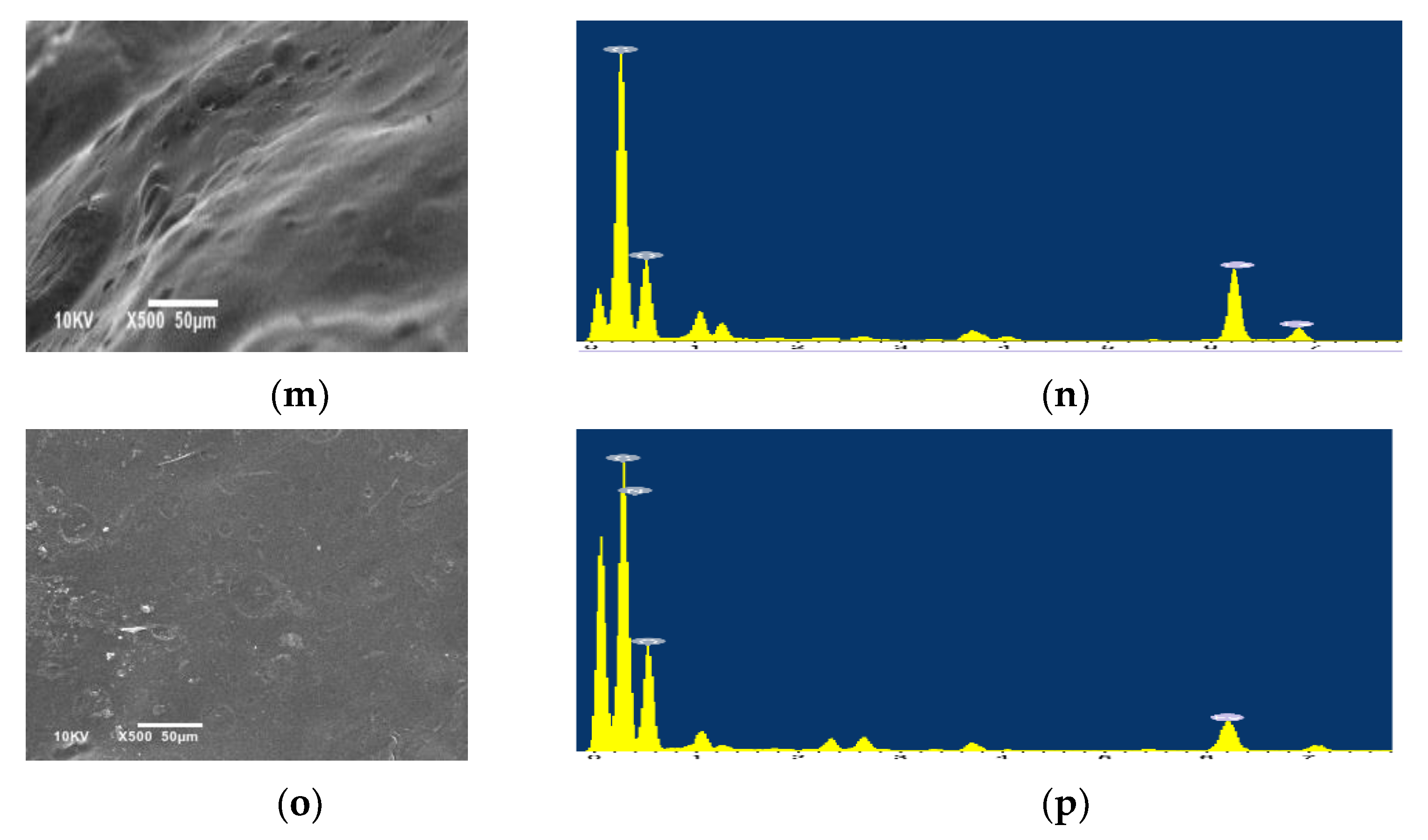 Polymers 14 01791 g005b