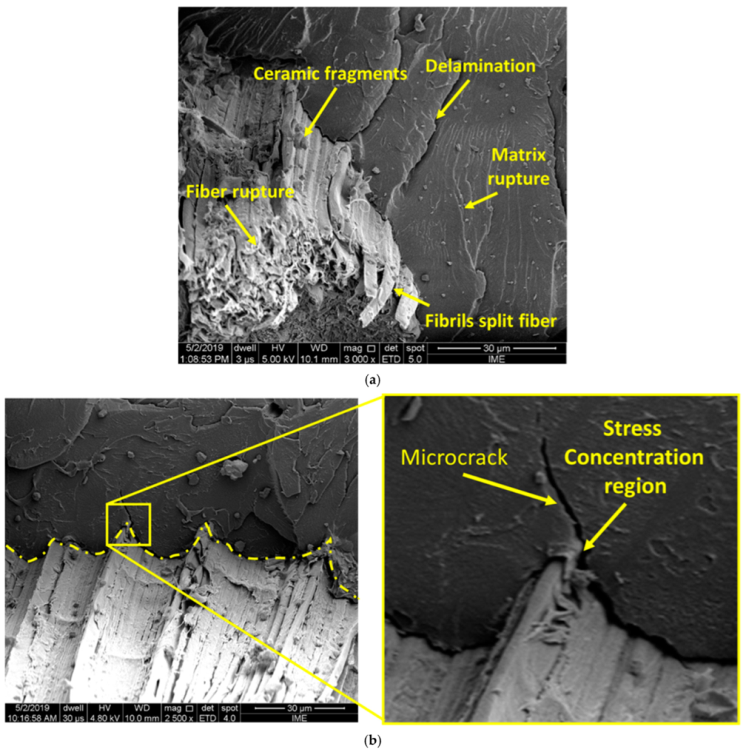 Polymers 14 01859 g007