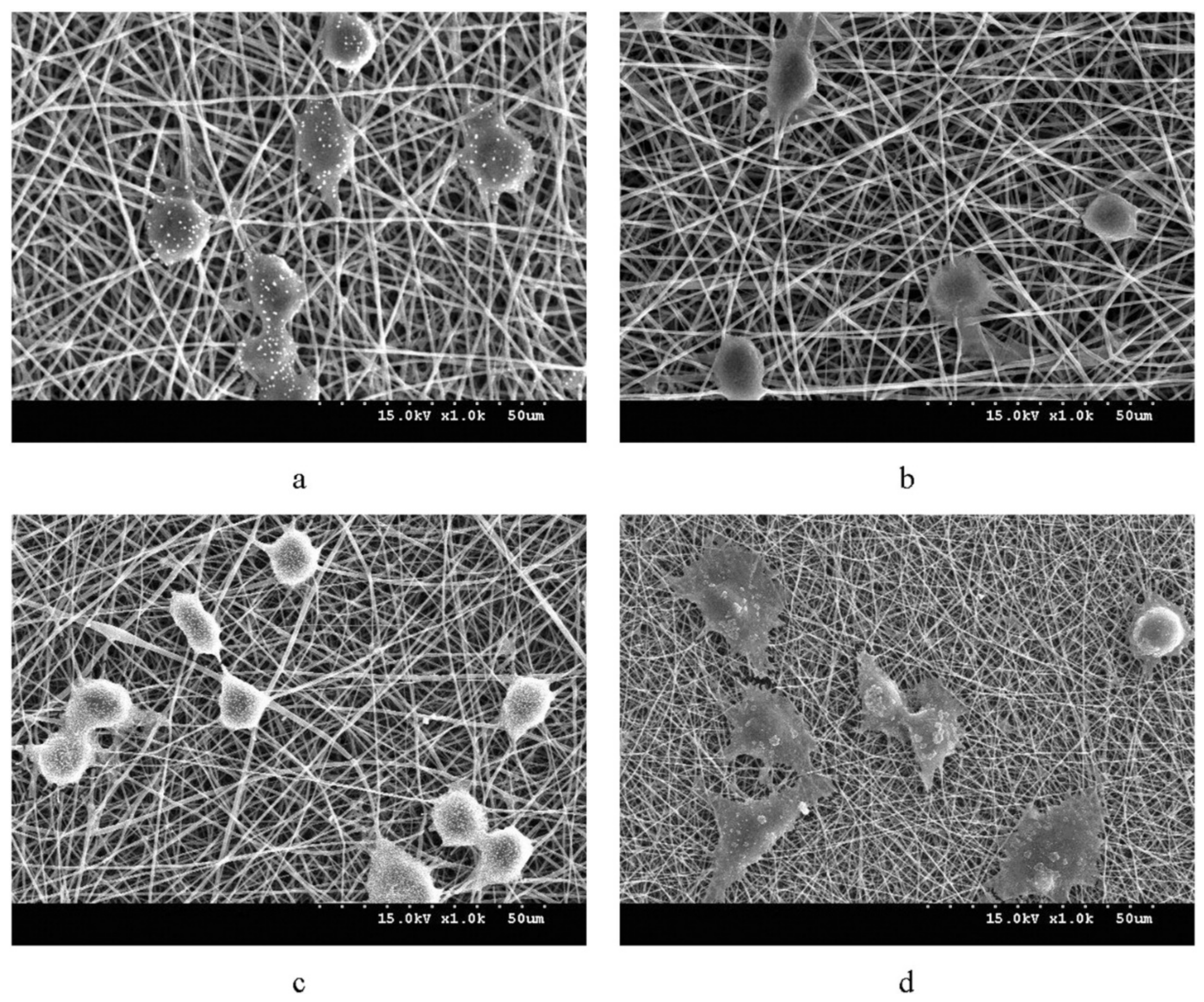 Polymers 14 02141 g004
