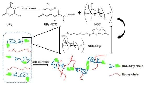 Polymers Free Full Text One Pot Synthesis Of UPy Functionalized