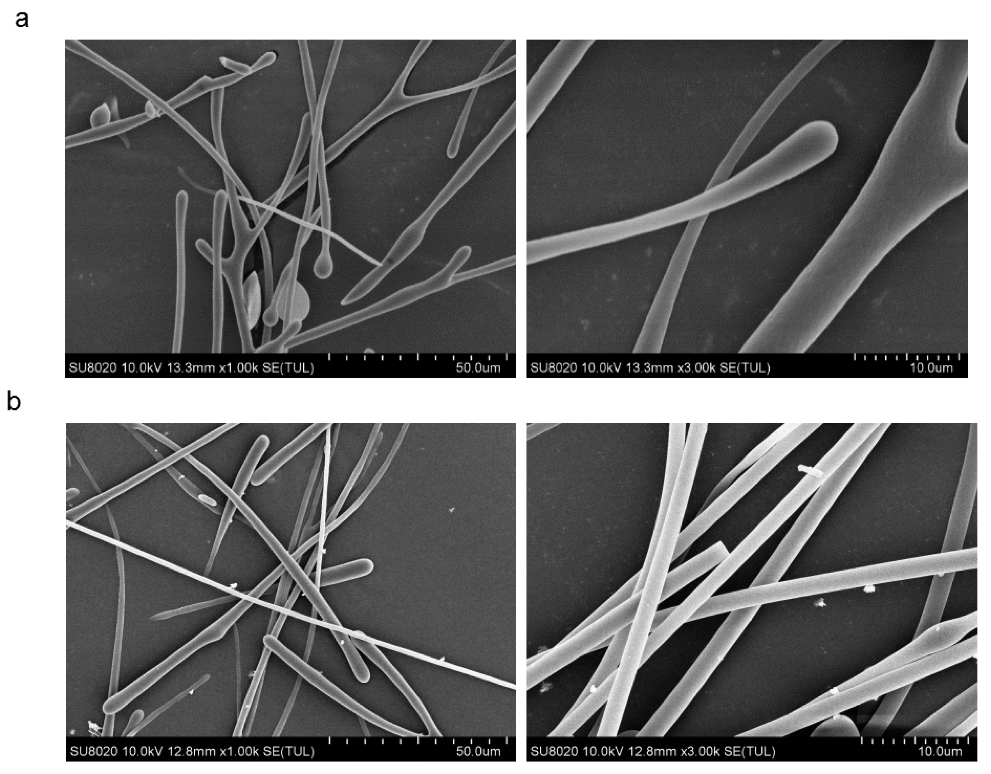 Polymers 14 02482 g005