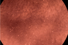 Polymers 14 03007 i016