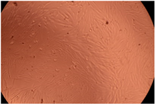 Polymers 14 03007 i017