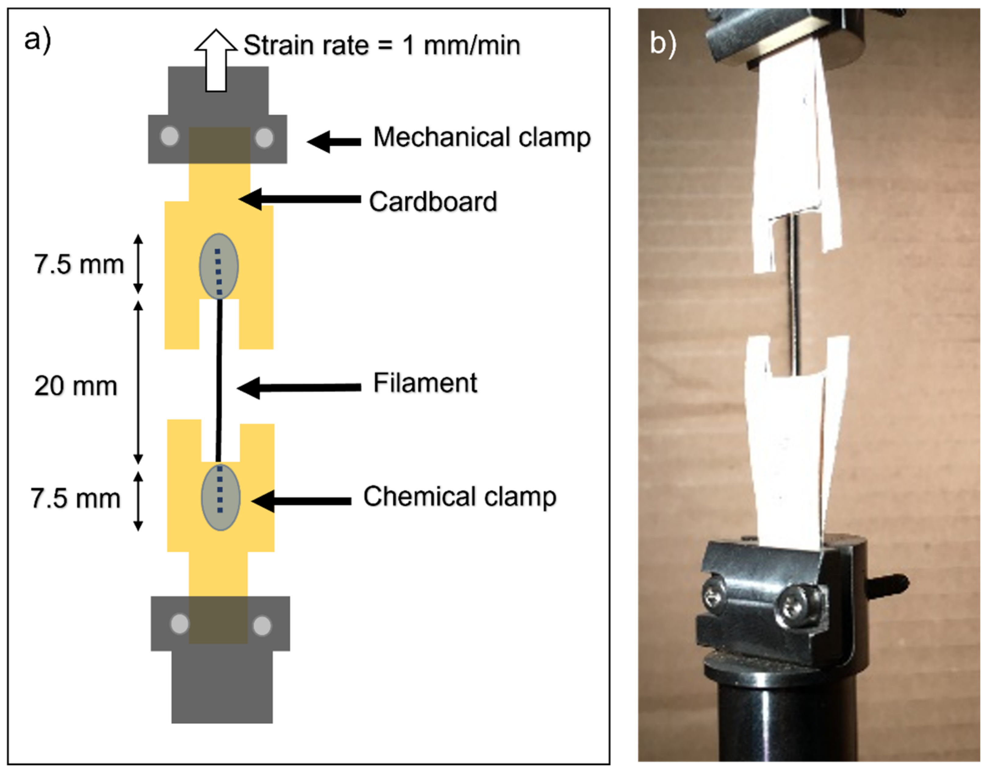 Polymers 14 03361 g002