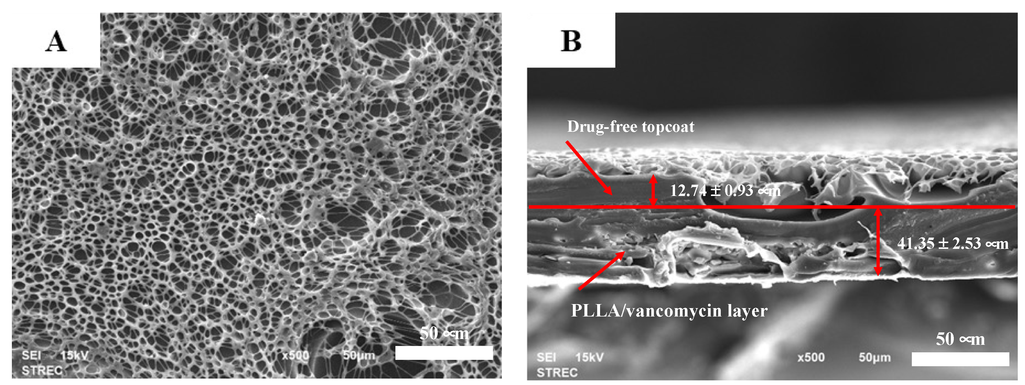 Polymers 14 03493 g002