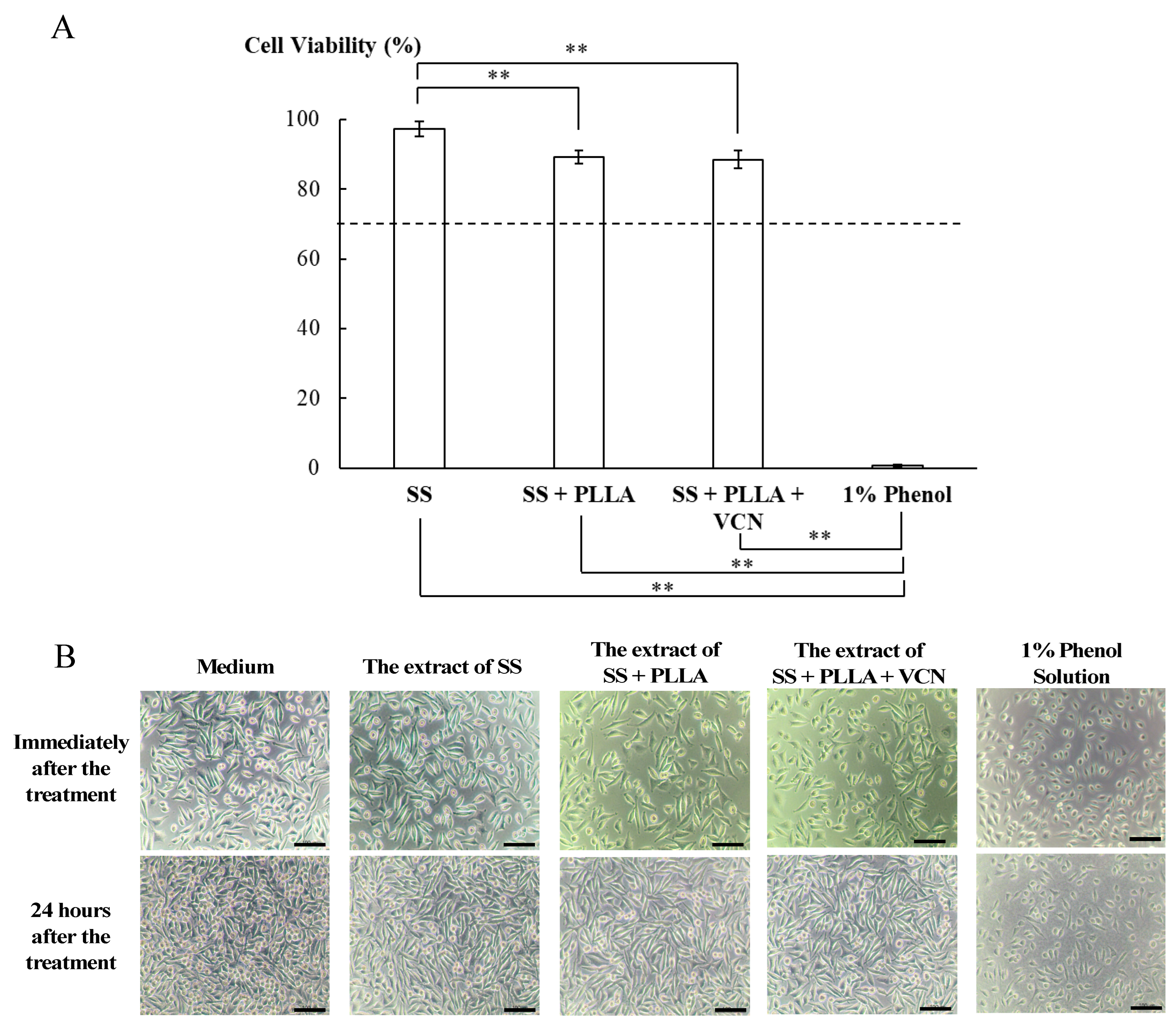 Polymers 14 03493 g008