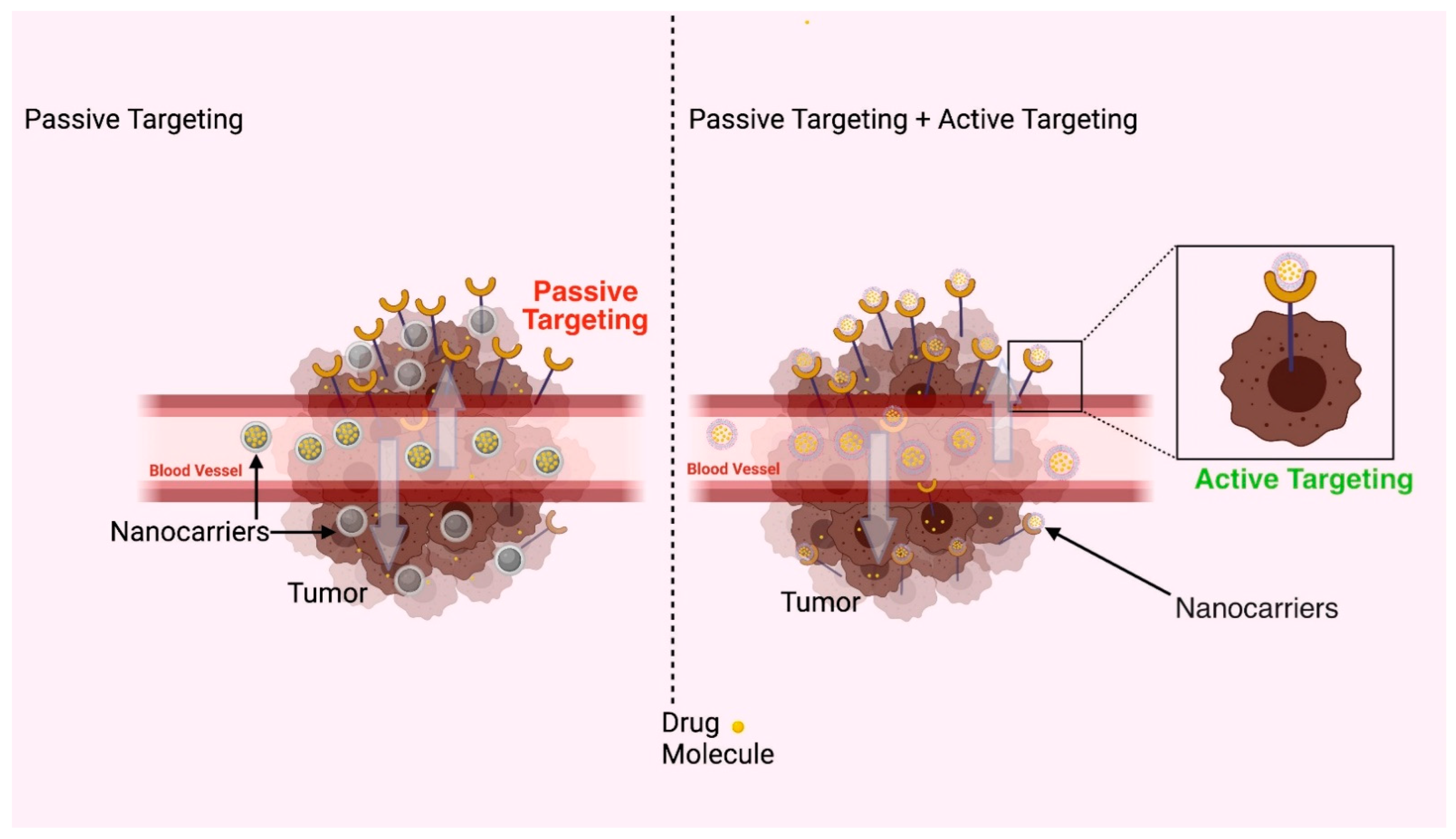 Polymers 14 03545 g006