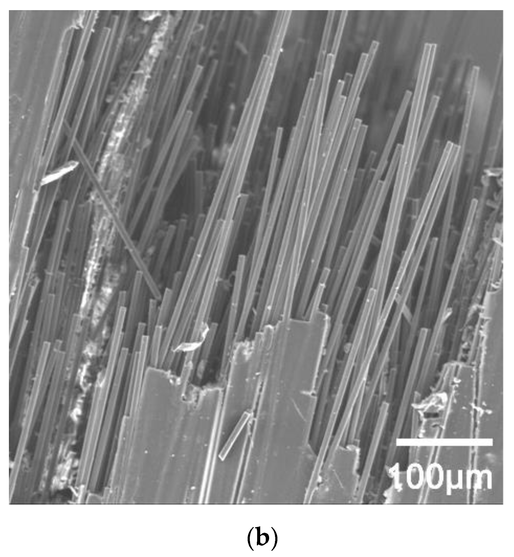Polymers 14 04072 g007b