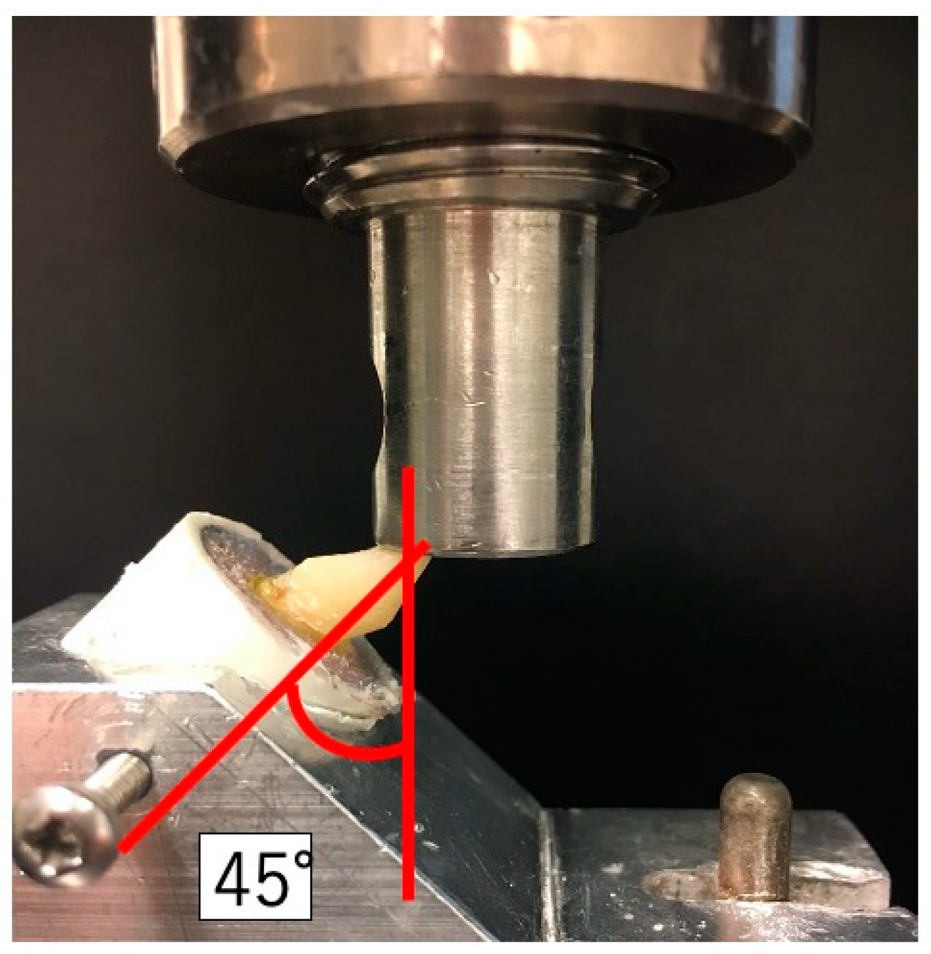 Polymers 14 04073 g002