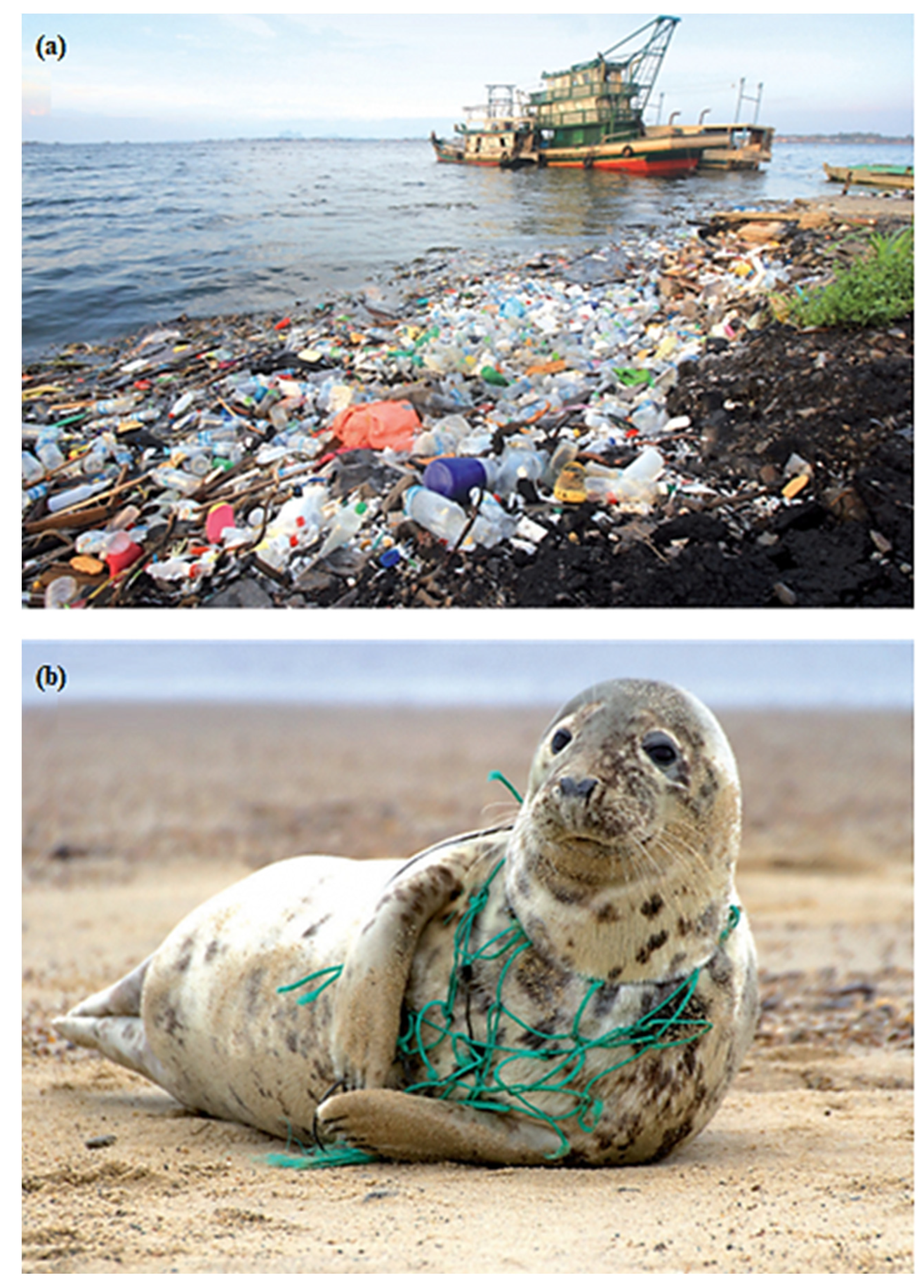 Polymers 14 04430 g002