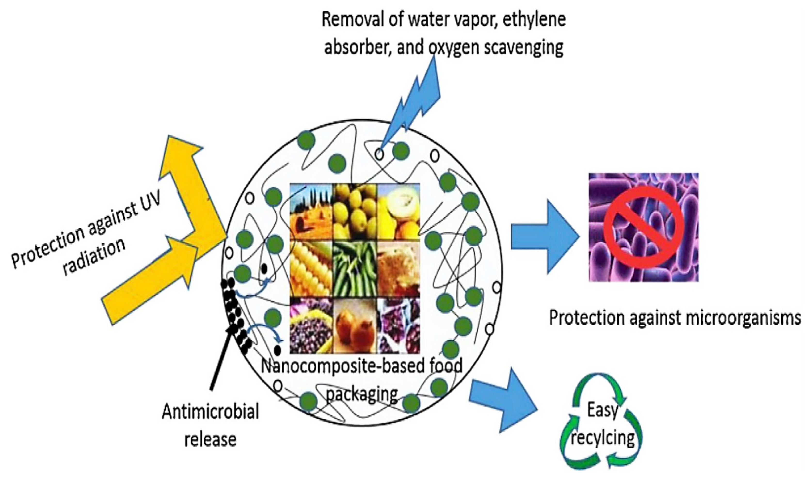 Polymers 14 04430 g006