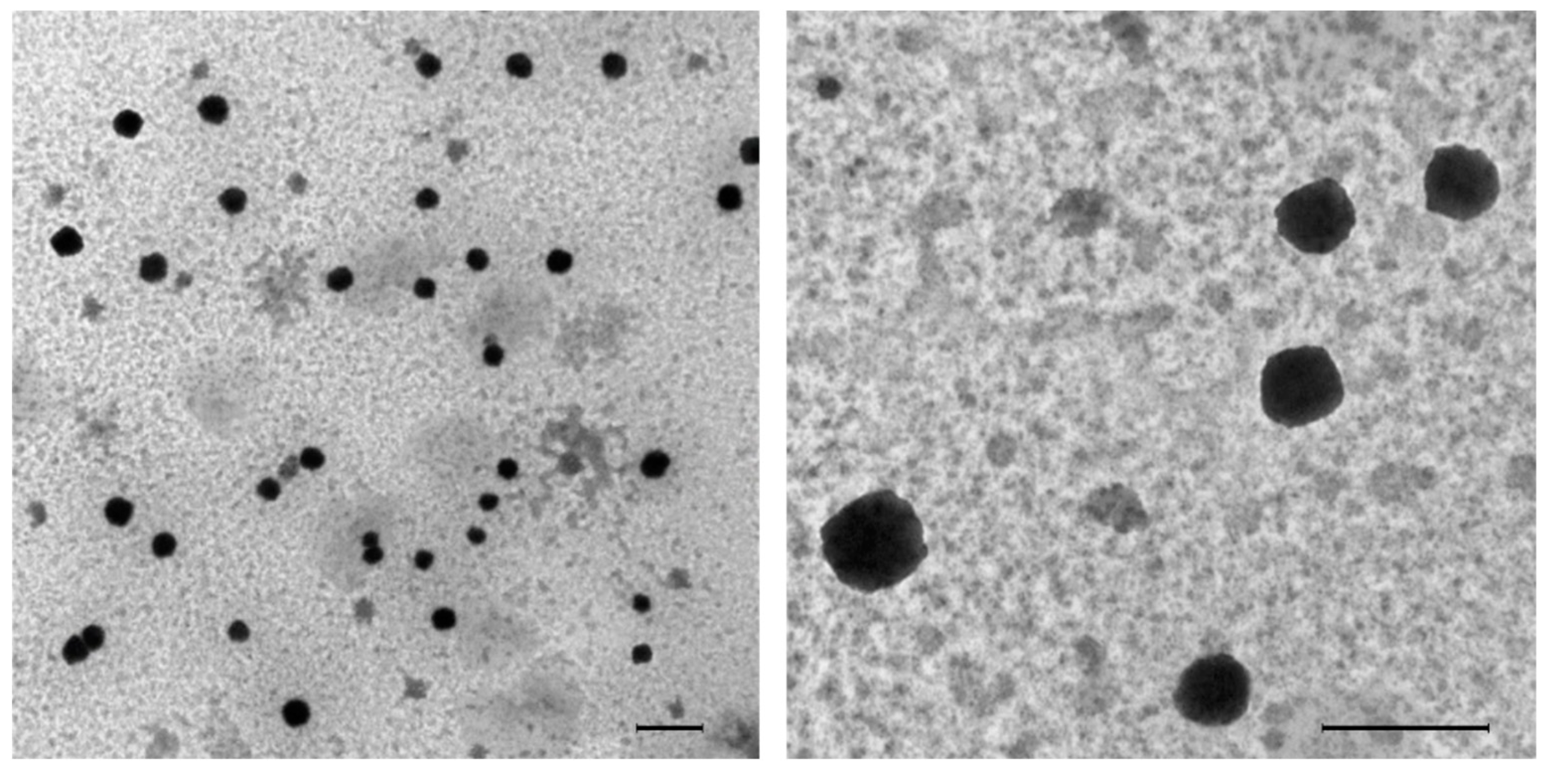 Polymers 14 04582 g005