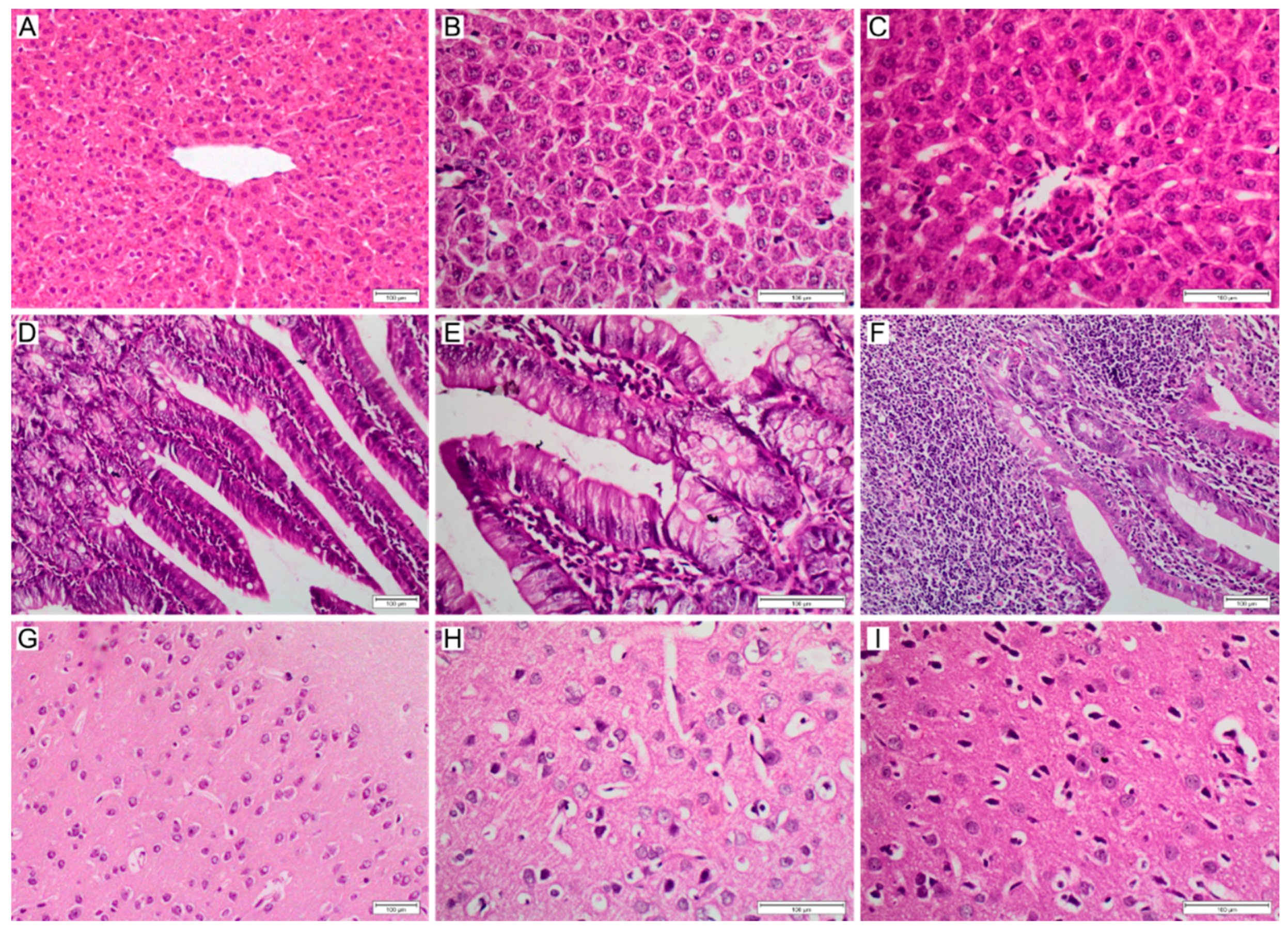 Polymers 14 04582 g007