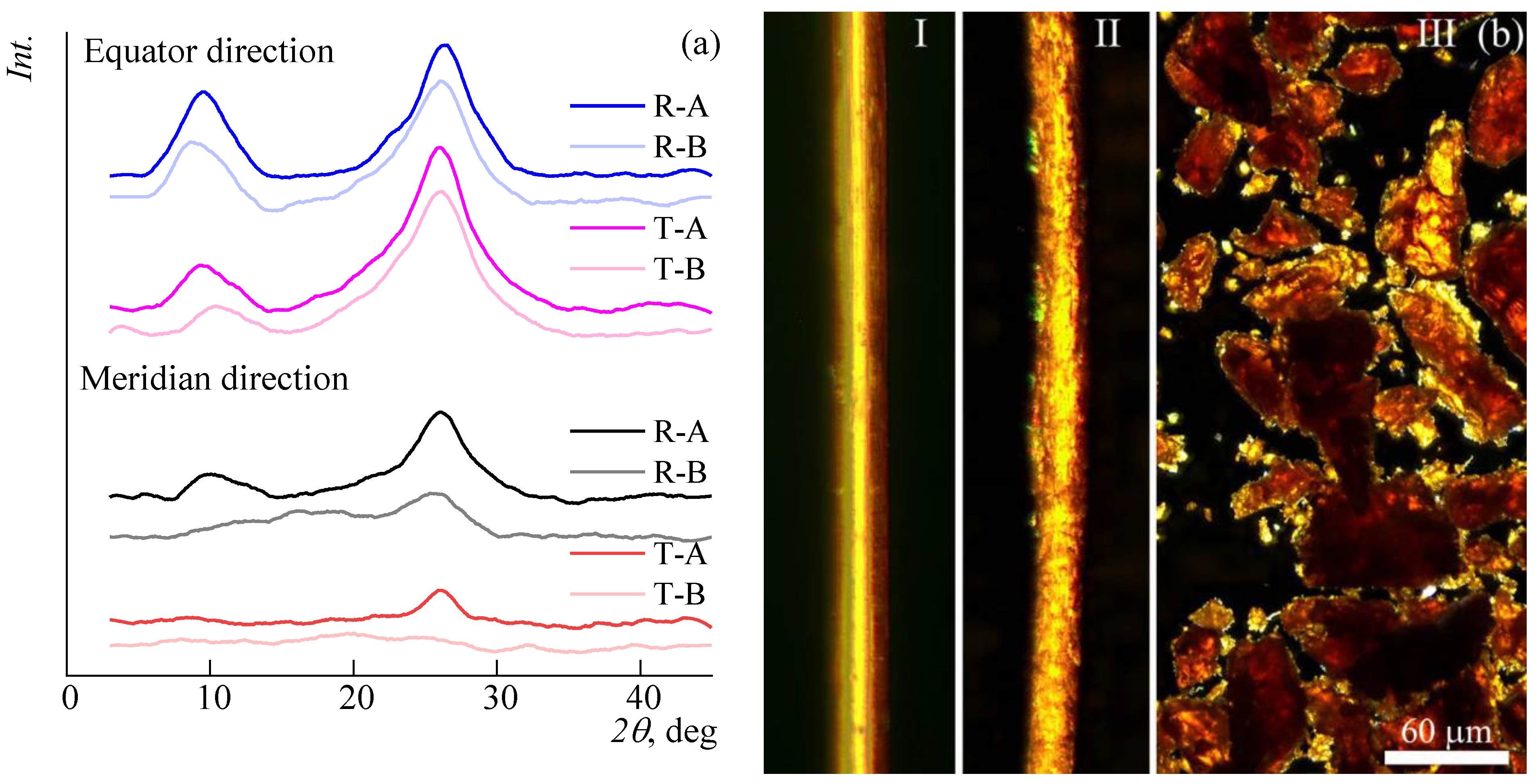 Polymers 14 04648 g007