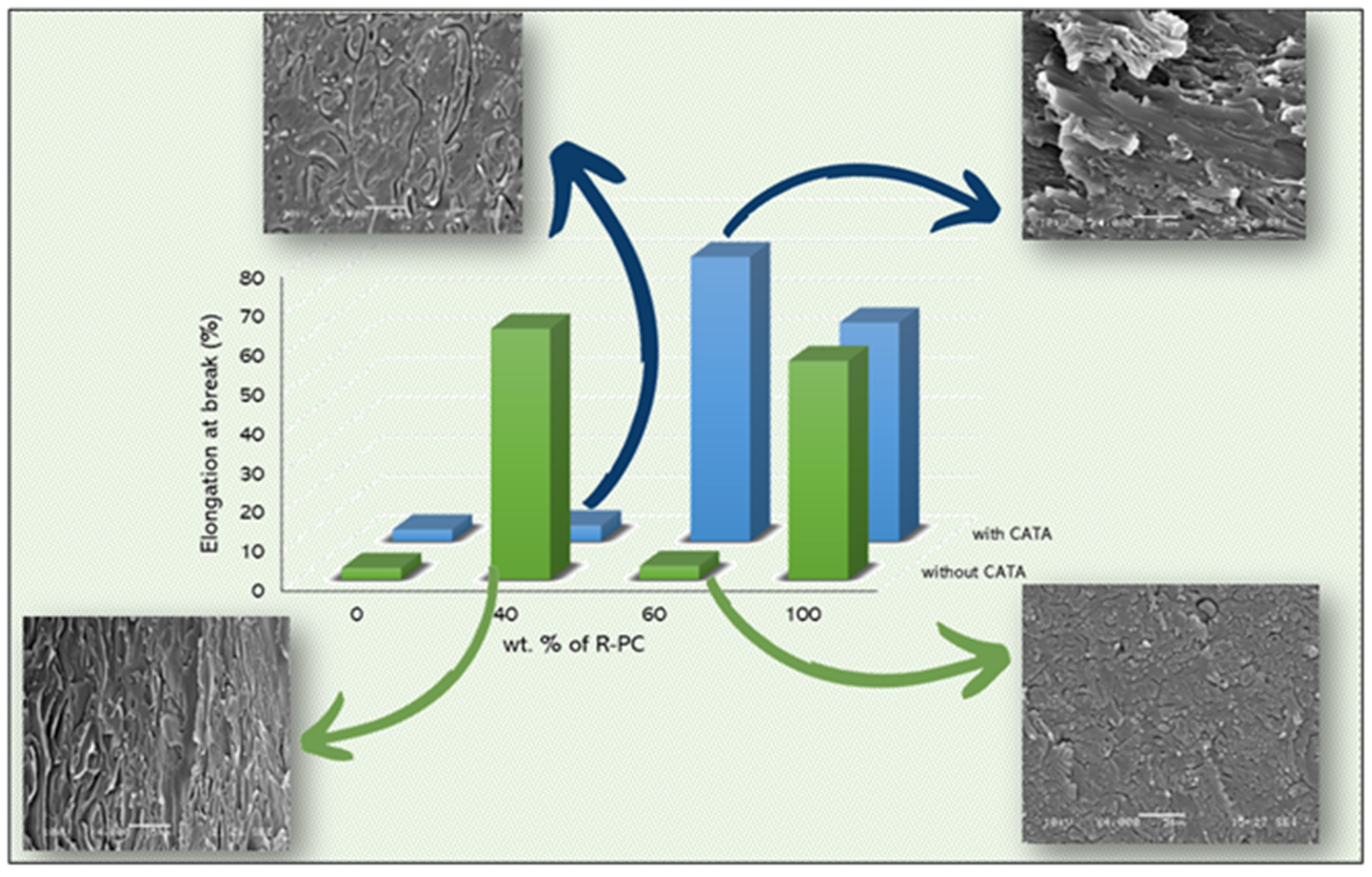 Polymers 14 05058 g008