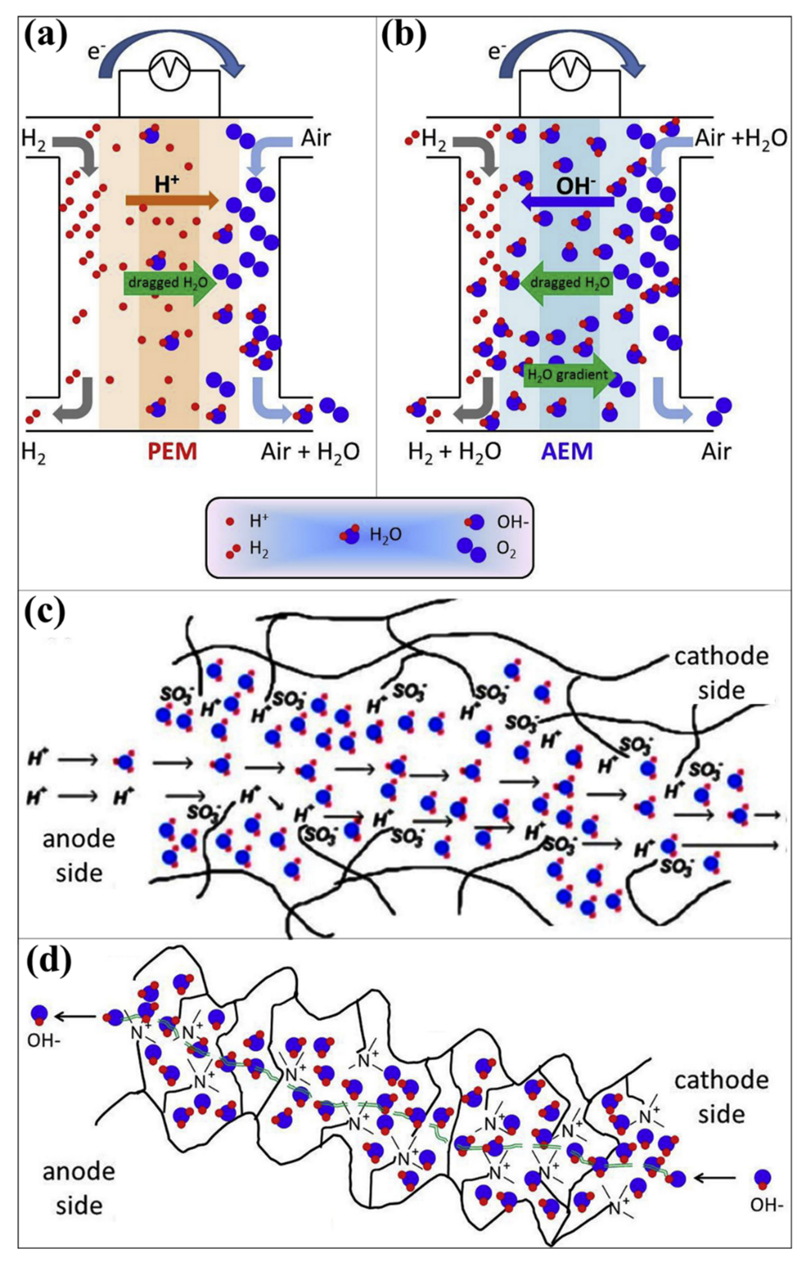 Polymers 14 05248 g001