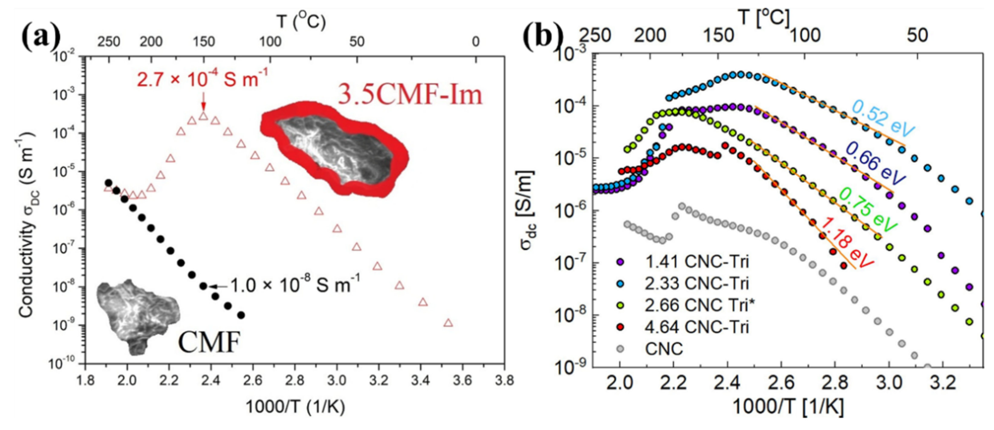Polymers 14 05248 g003