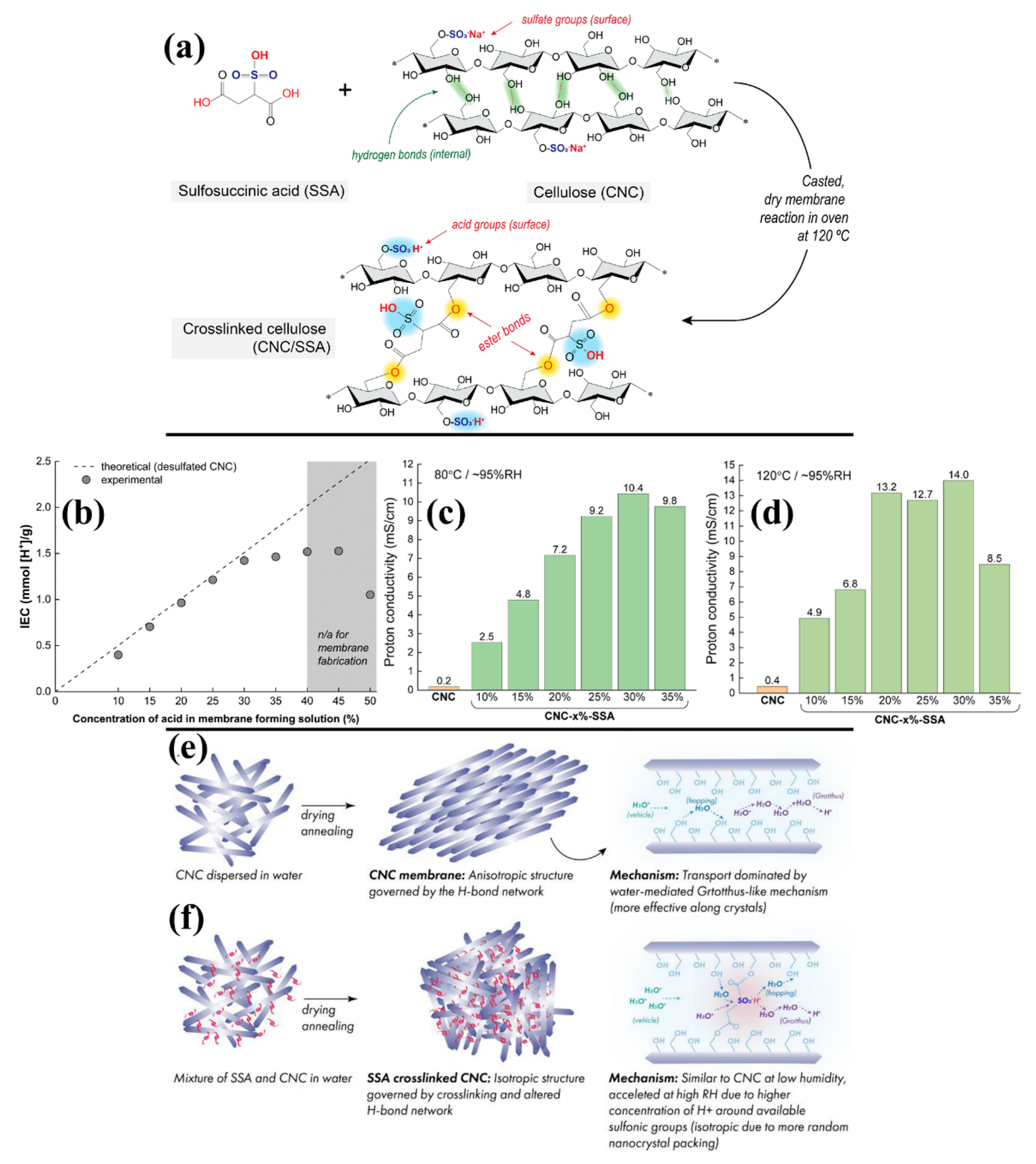Polymers 14 05248 g004