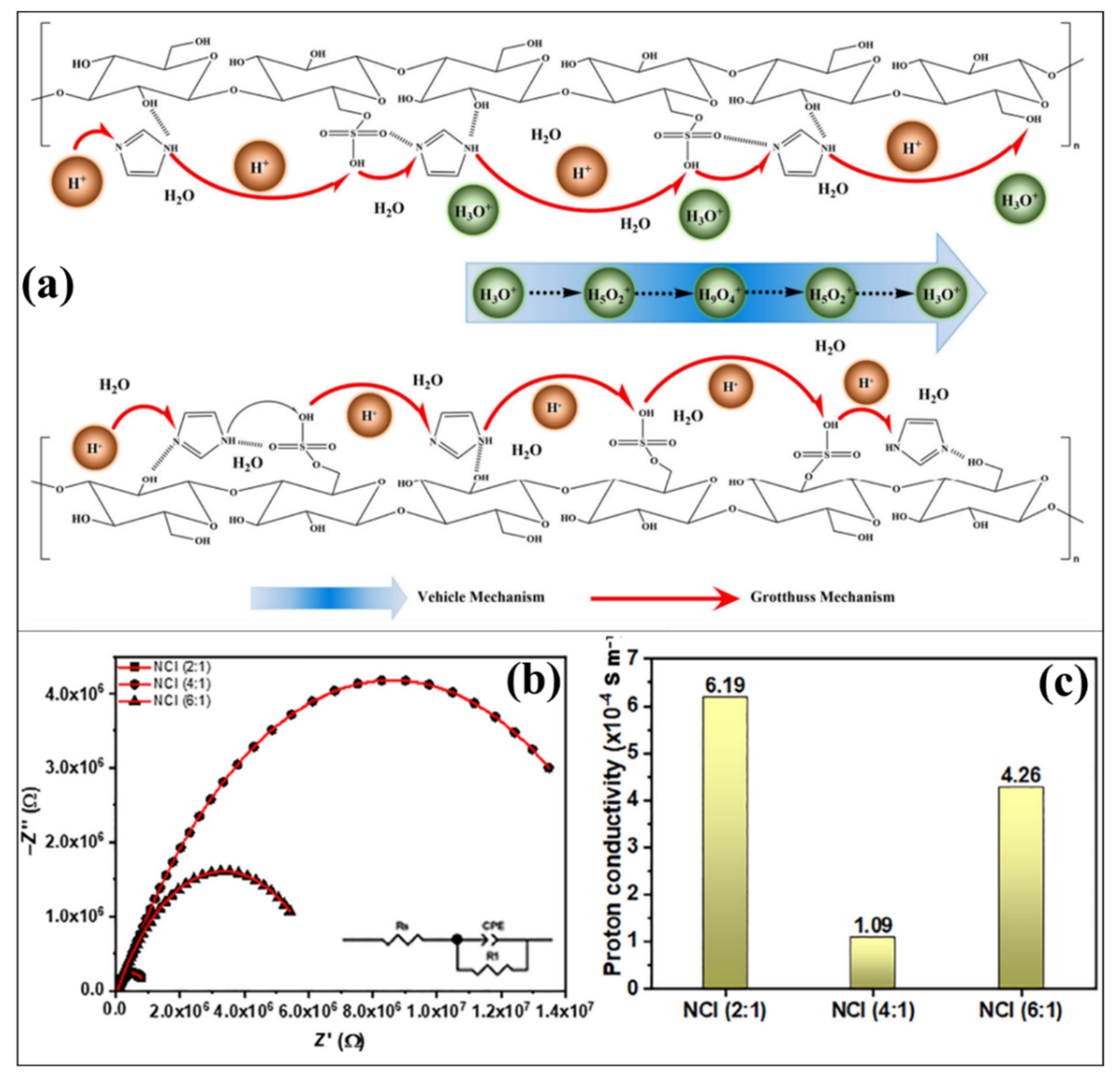 Polymers 14 05248 g005