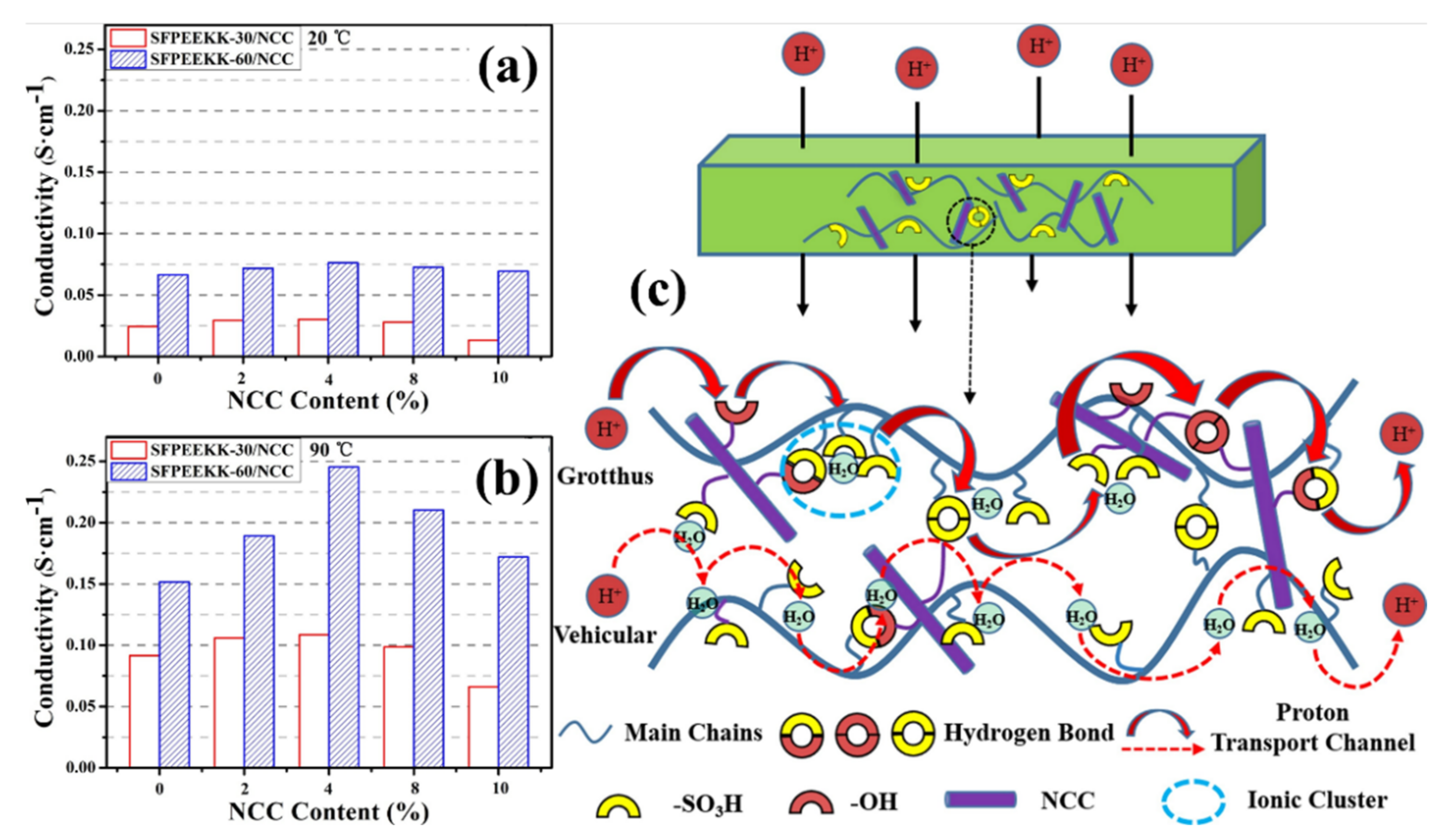 Polymers 14 05248 g006
