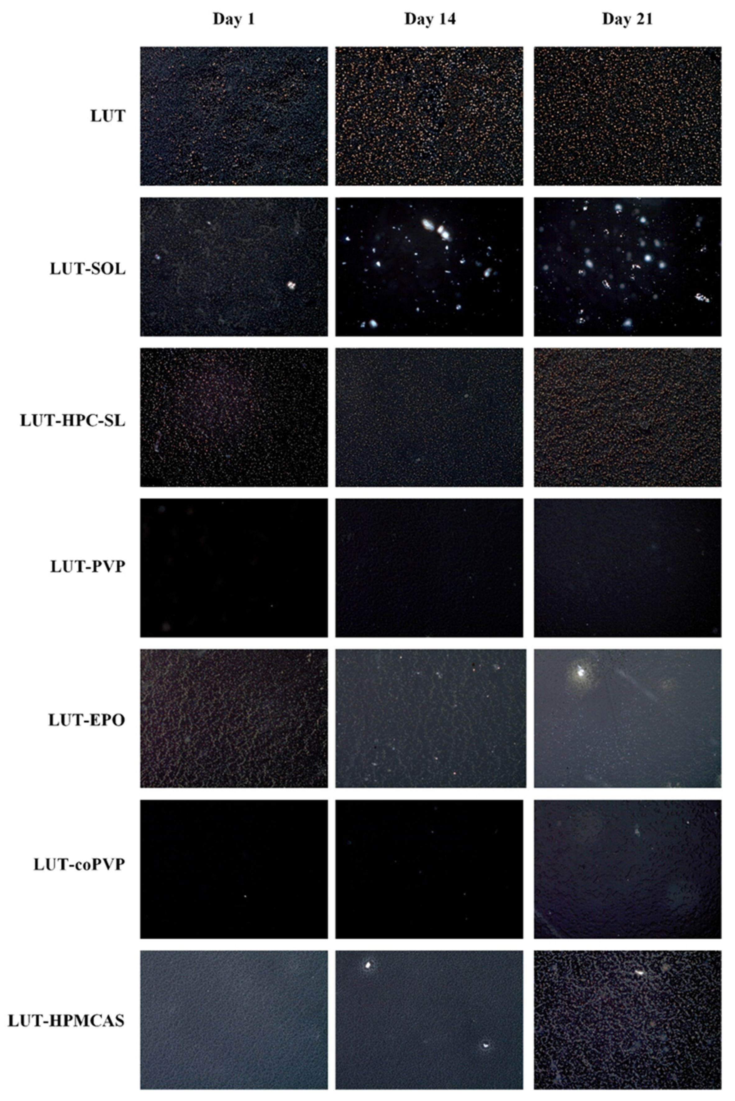 Polymers 15 00169 g002