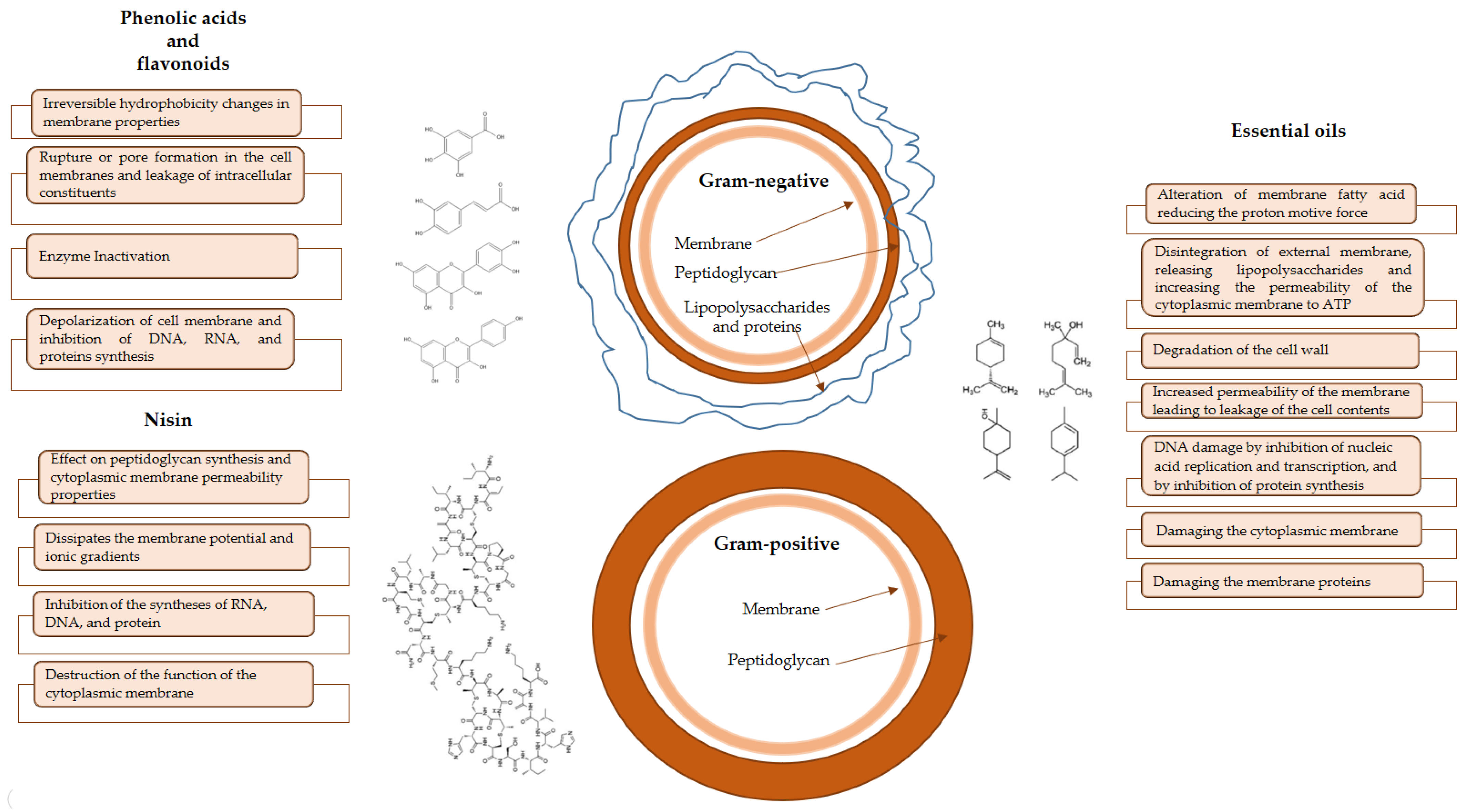 Polymers 15 00396 g003