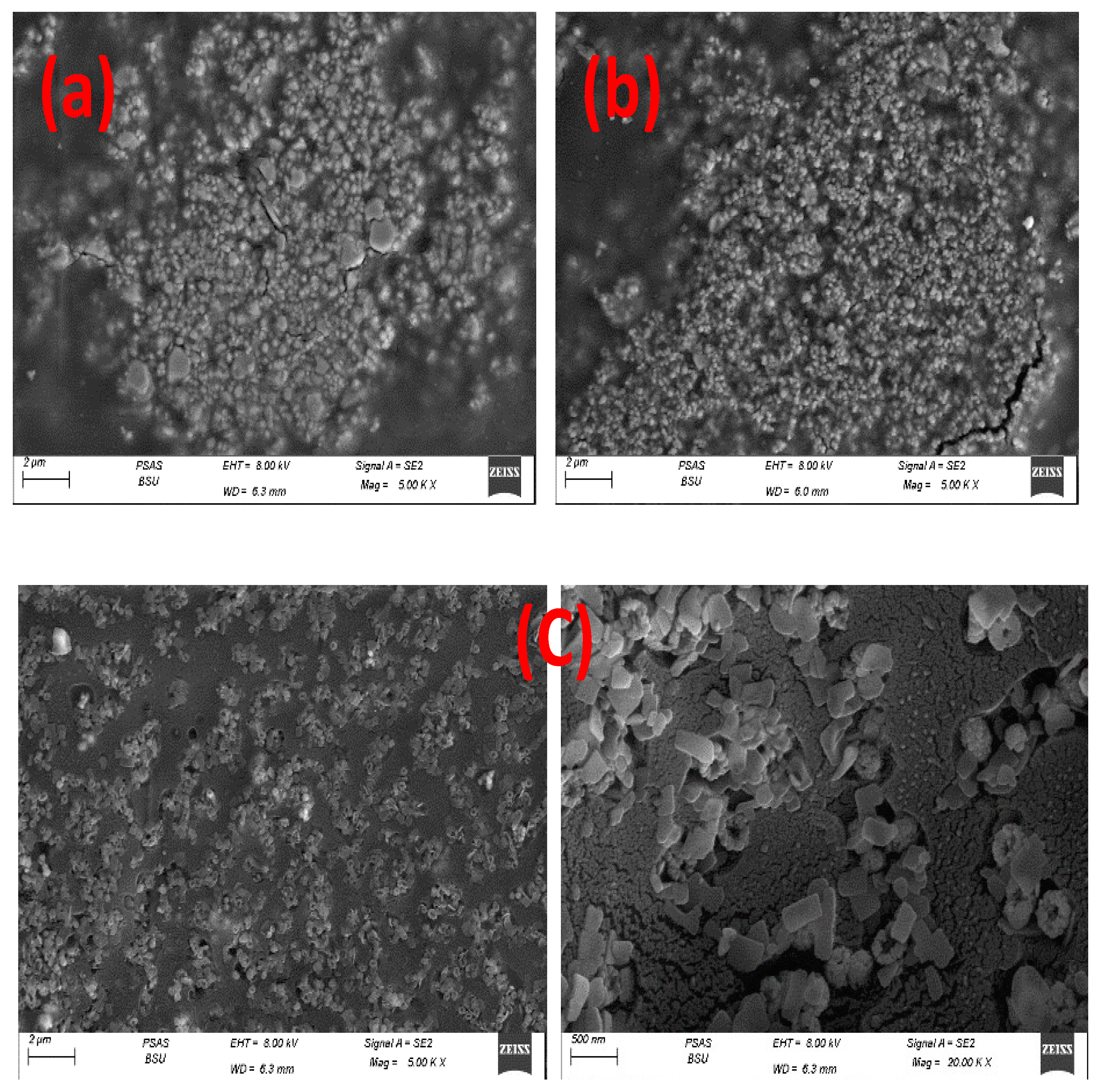 Polymers 15 00485 g004
