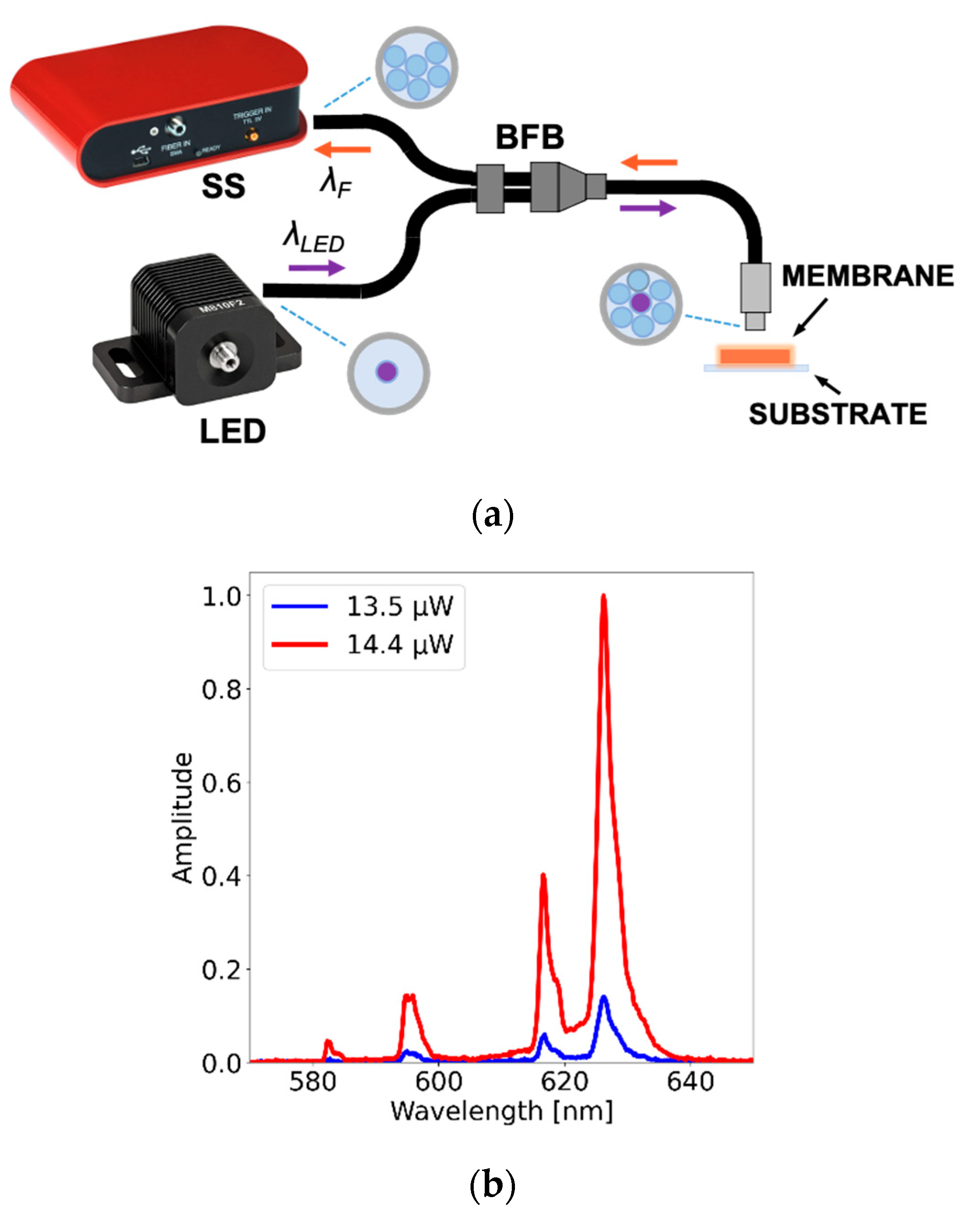 Polymers Free Full Text Luminescent Polymer Composites For Optical