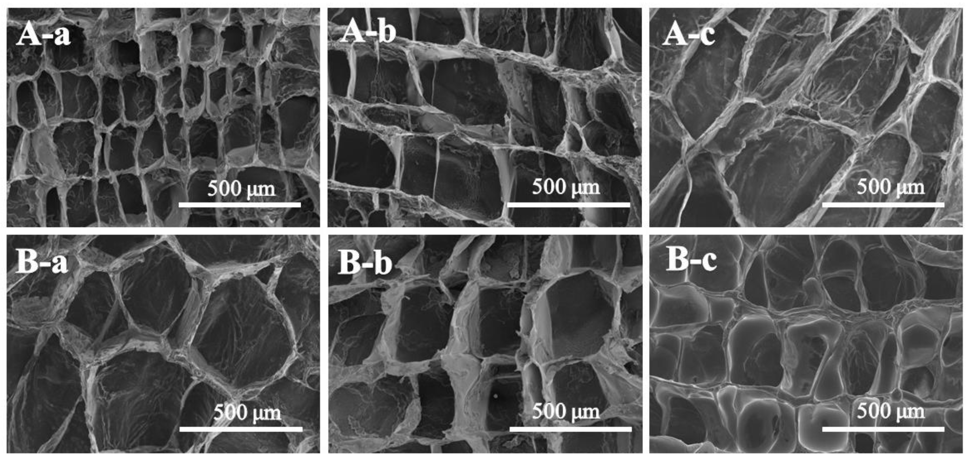 Polymers 15 00596 g003