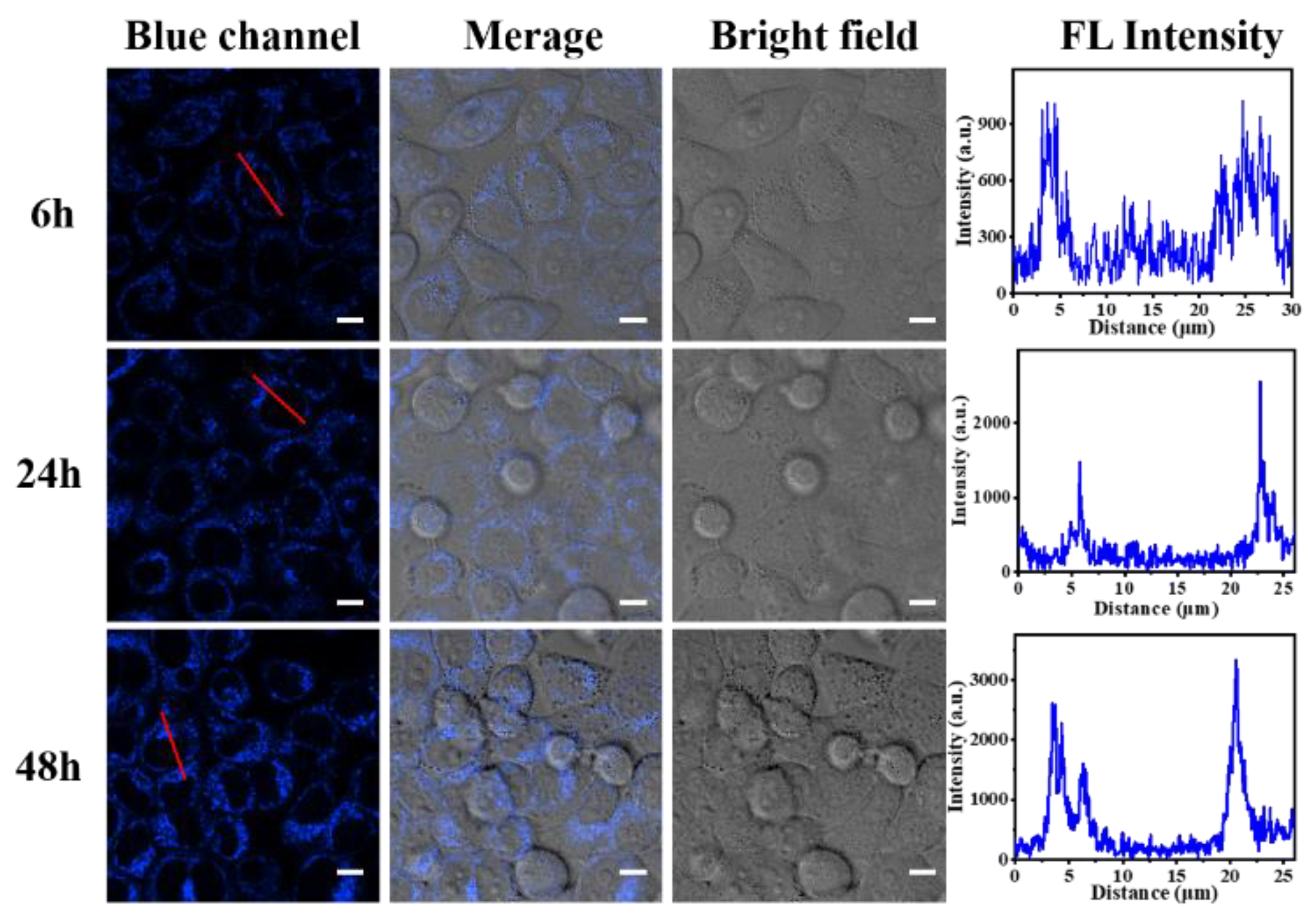 Polymers 15 00596 g011