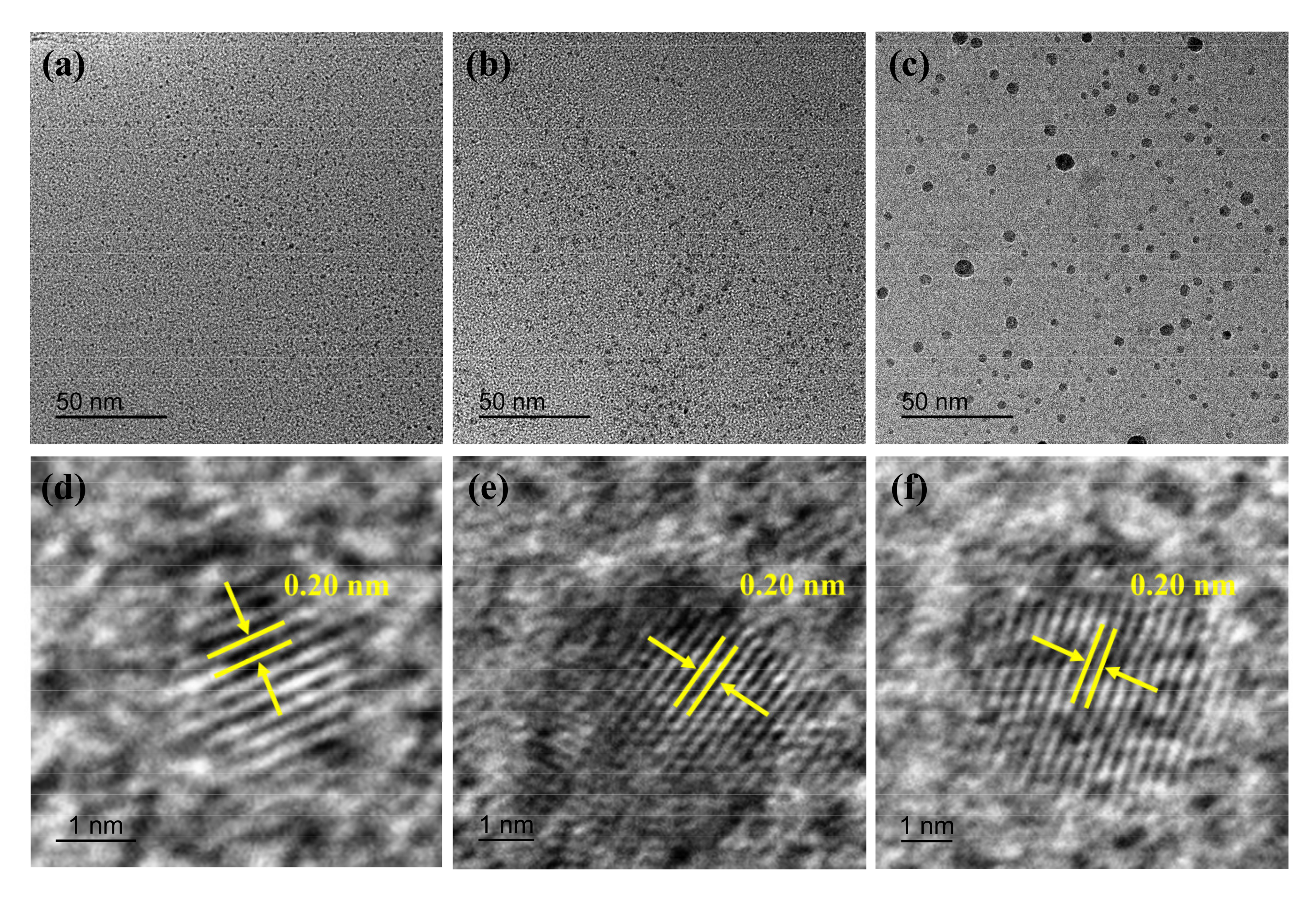 Polymers 15 00850 g002