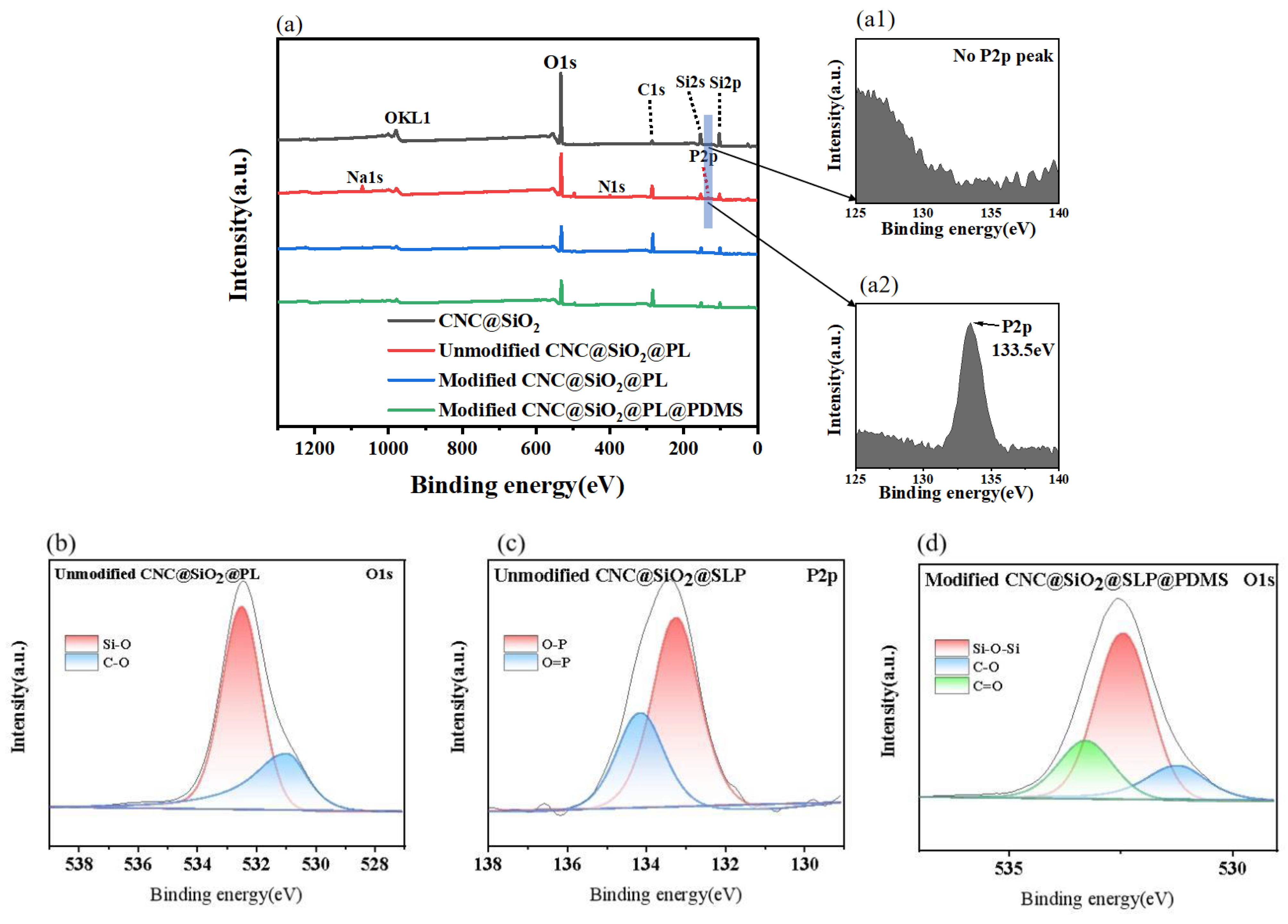 Polymers 15 00933 g004
