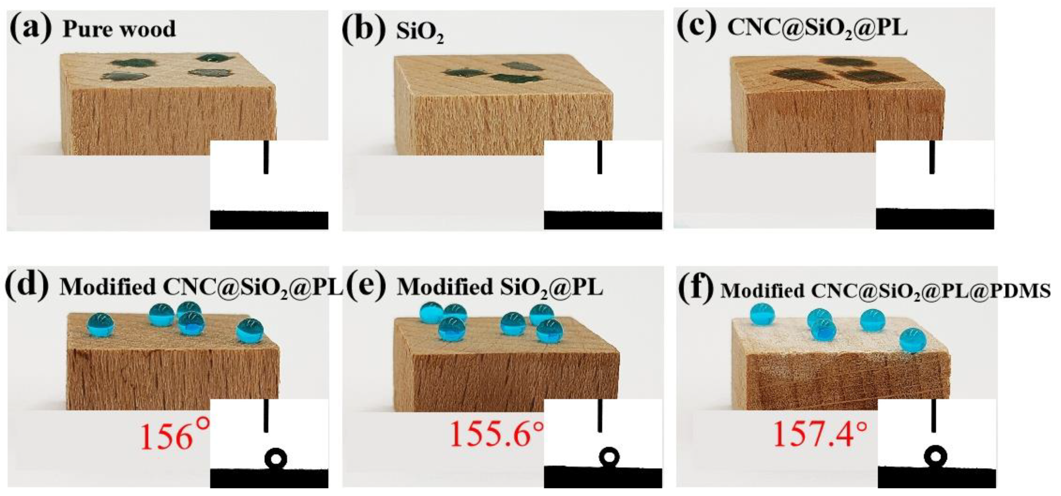 Polymers 15 00933 g005