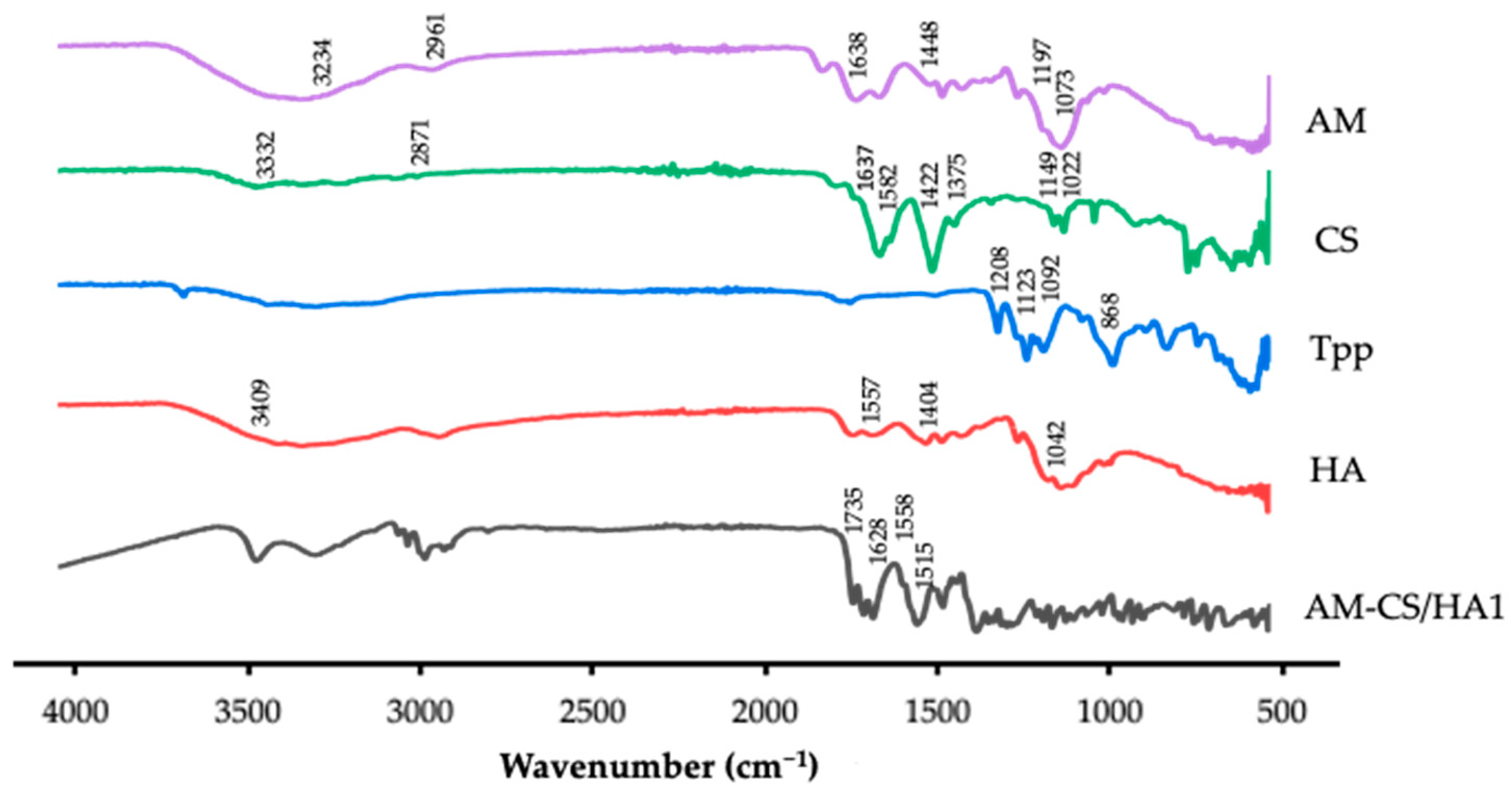 Polymers 15 01025 g002