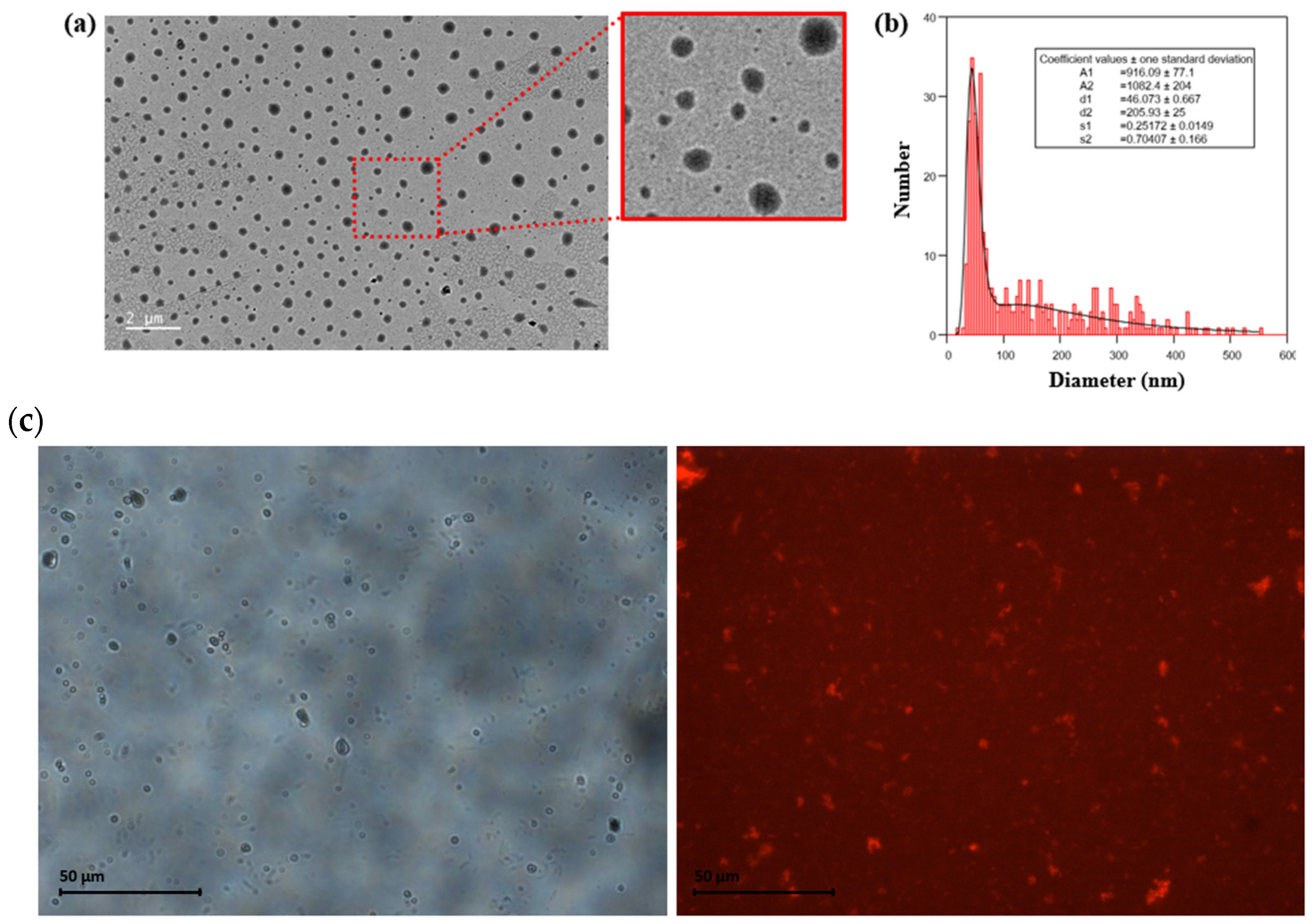 Polymers 15 01112 g002