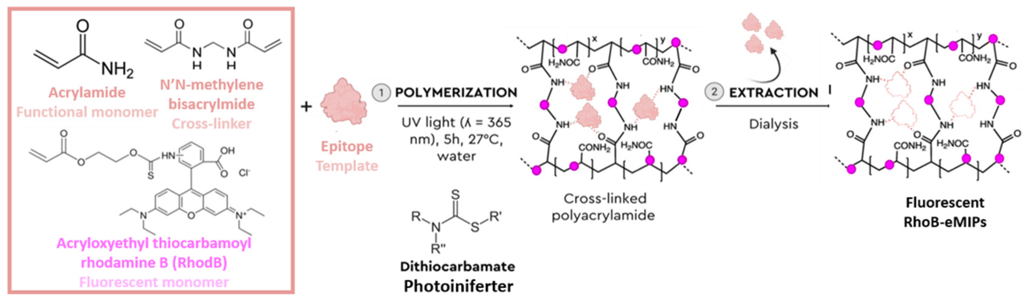 Polymers 15 01112 sch001
