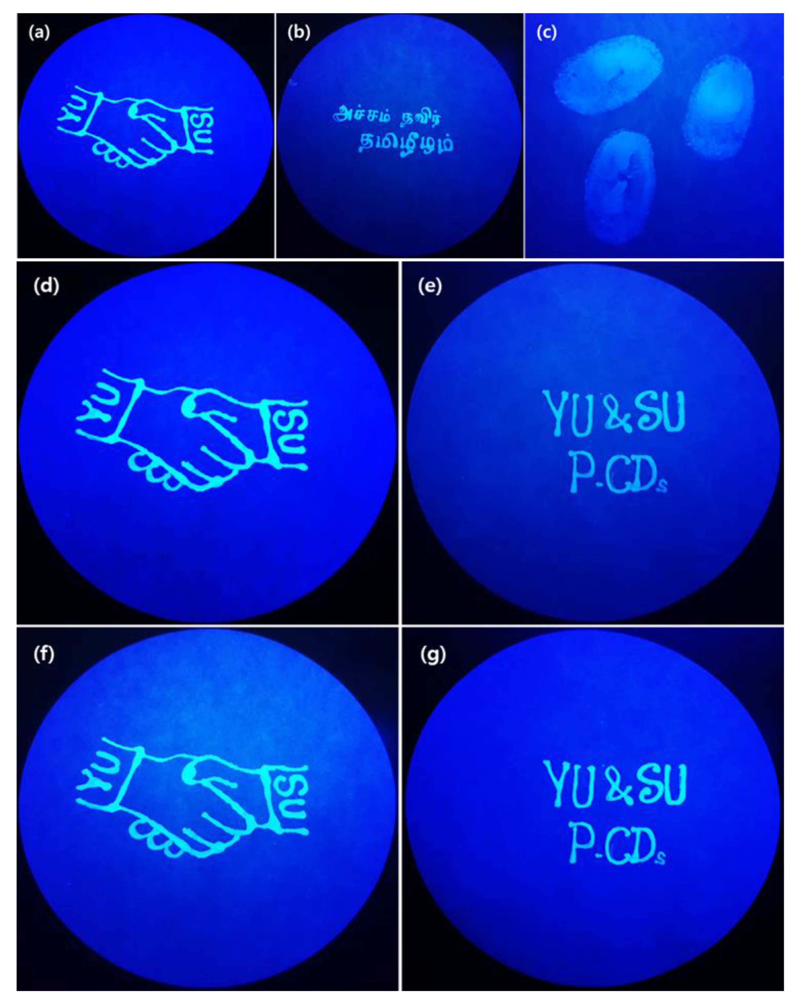 Polymers 15 01352 g006