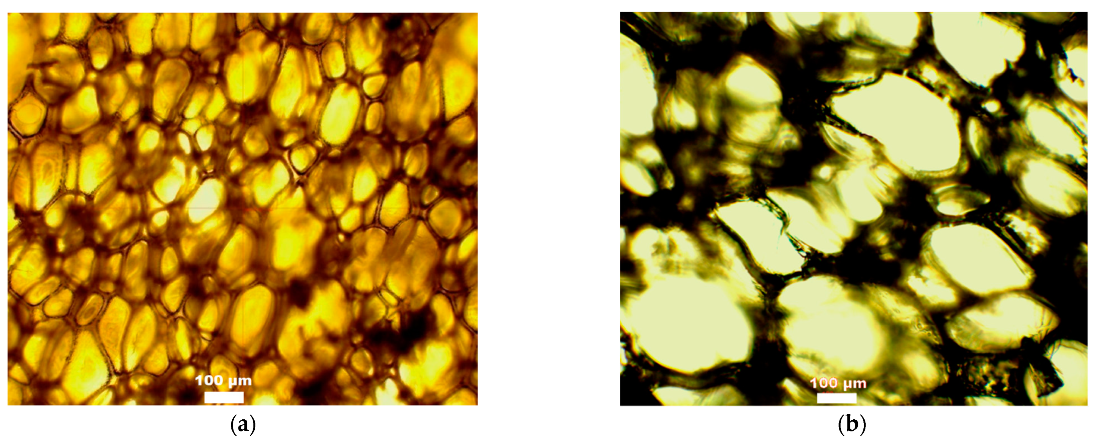 Polymers 15 01488 g008a