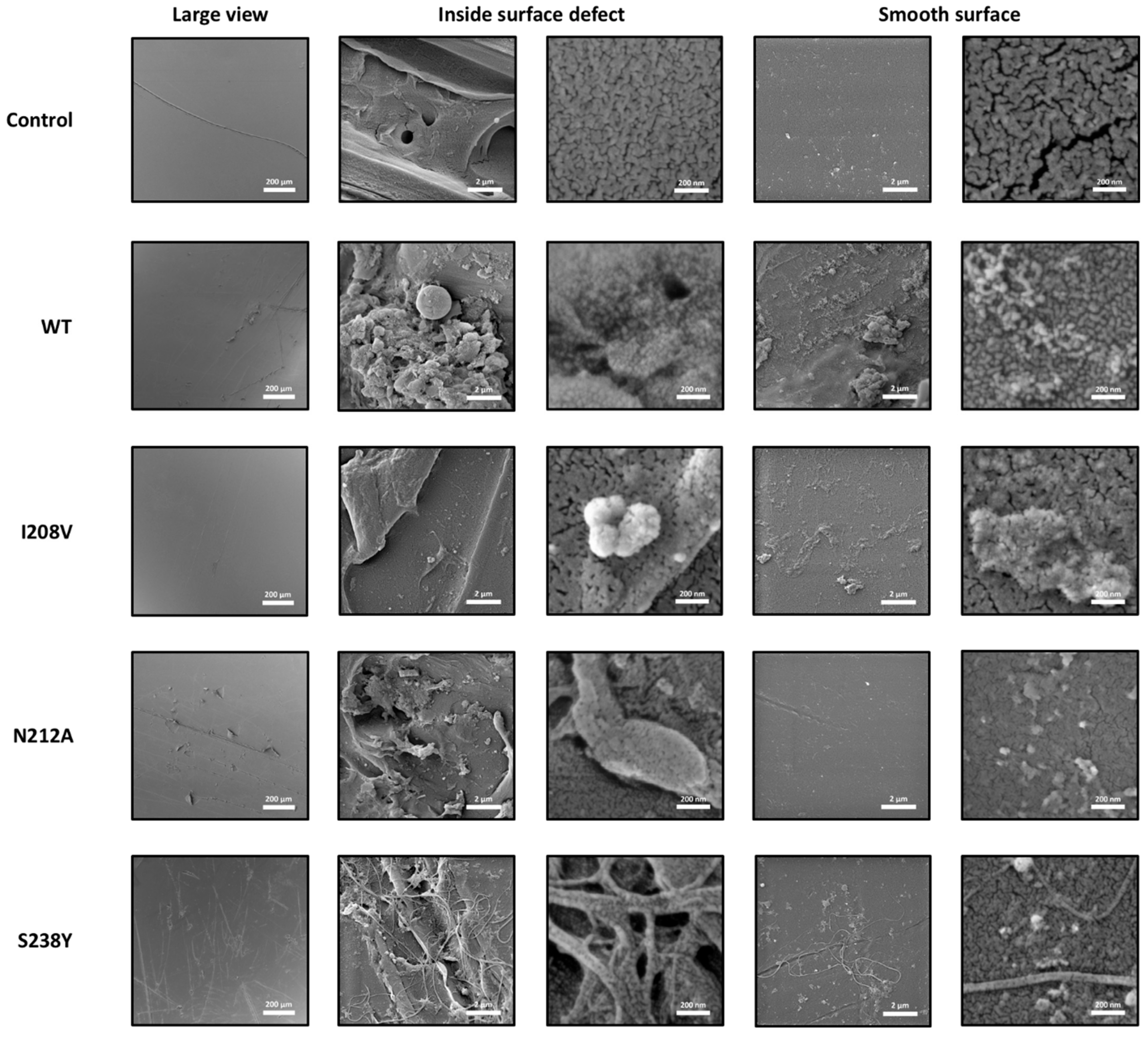 Polymers 15 01779 g003