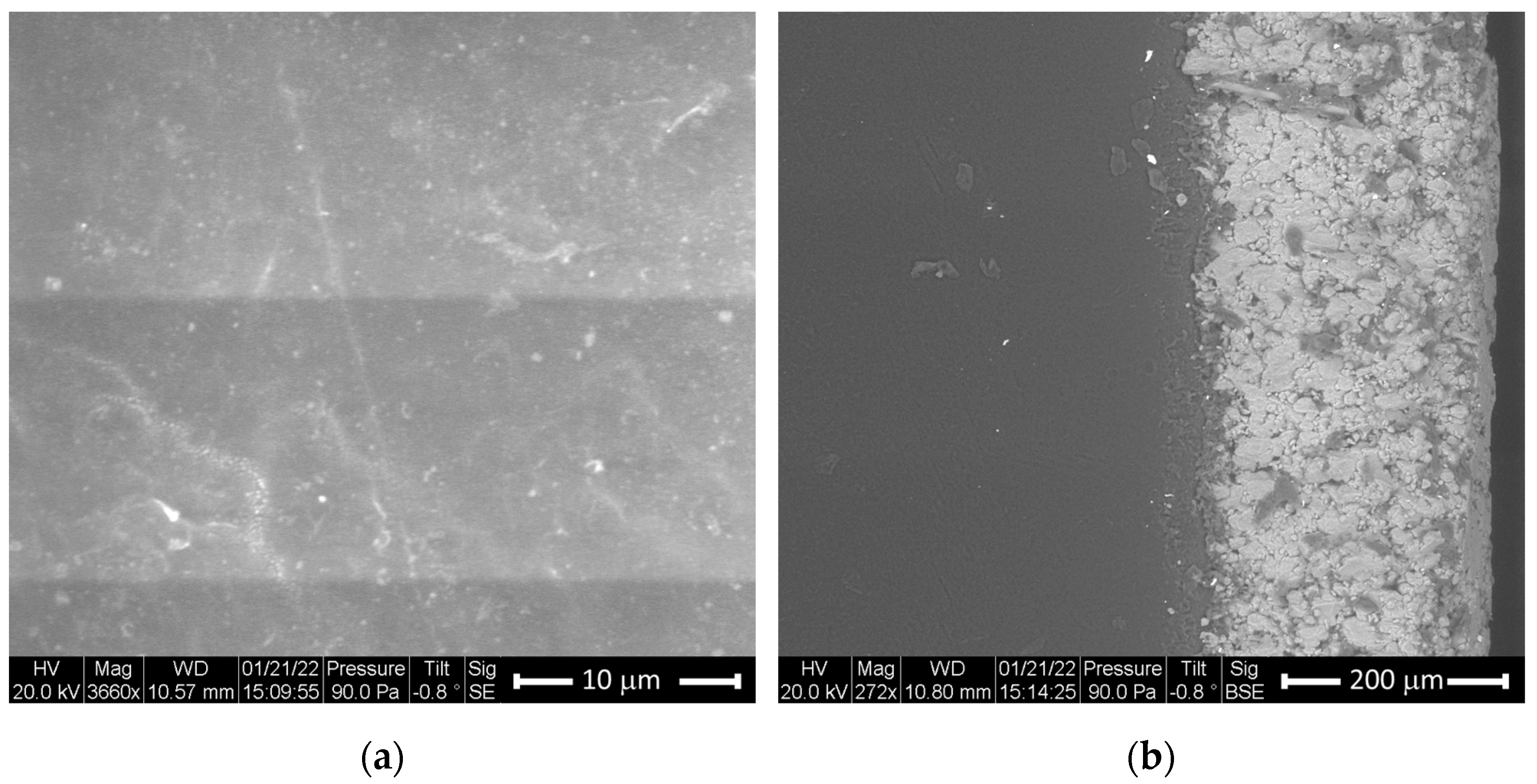 Polymers 15 01911 g001