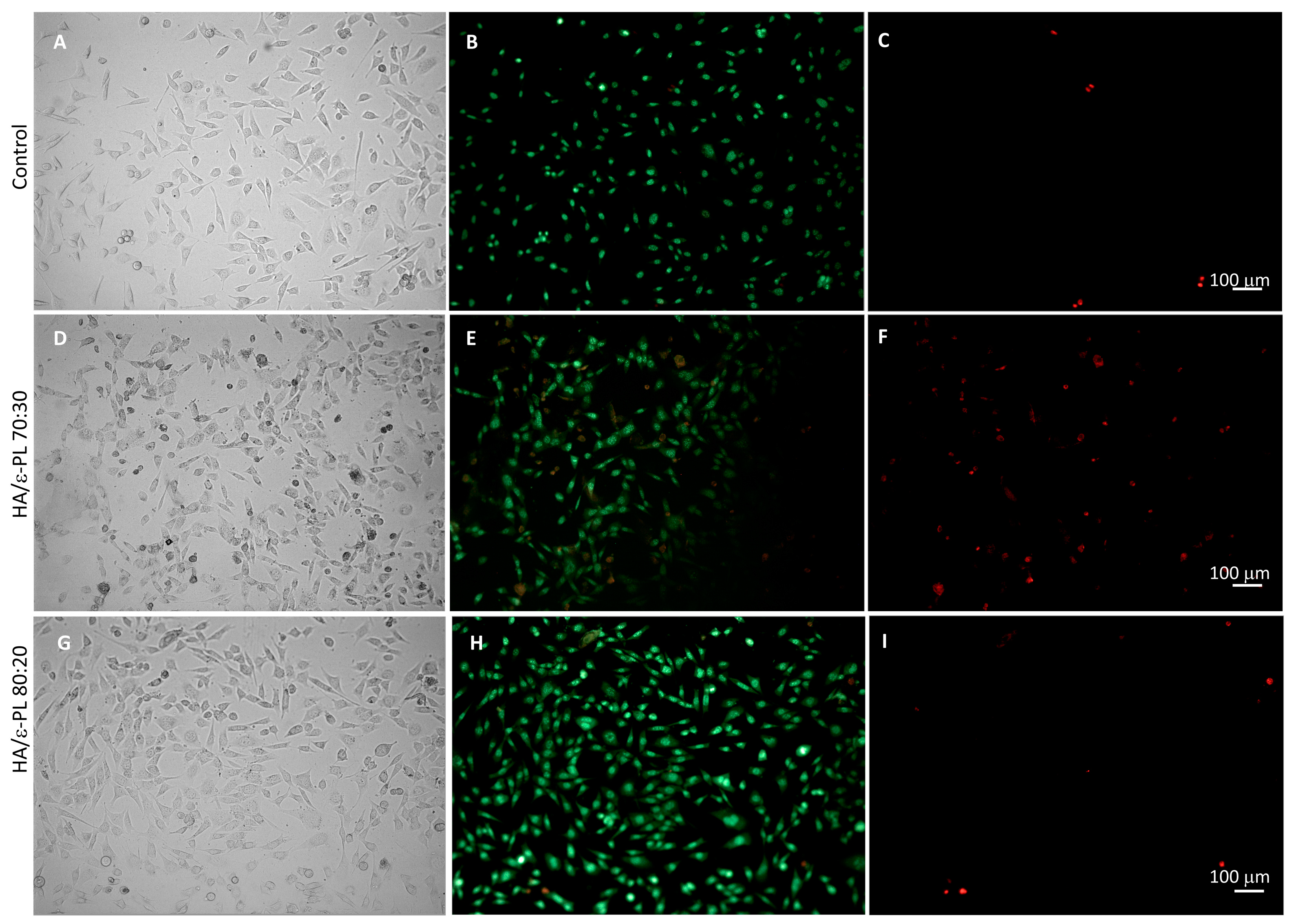 Polymers 15 01915 g008