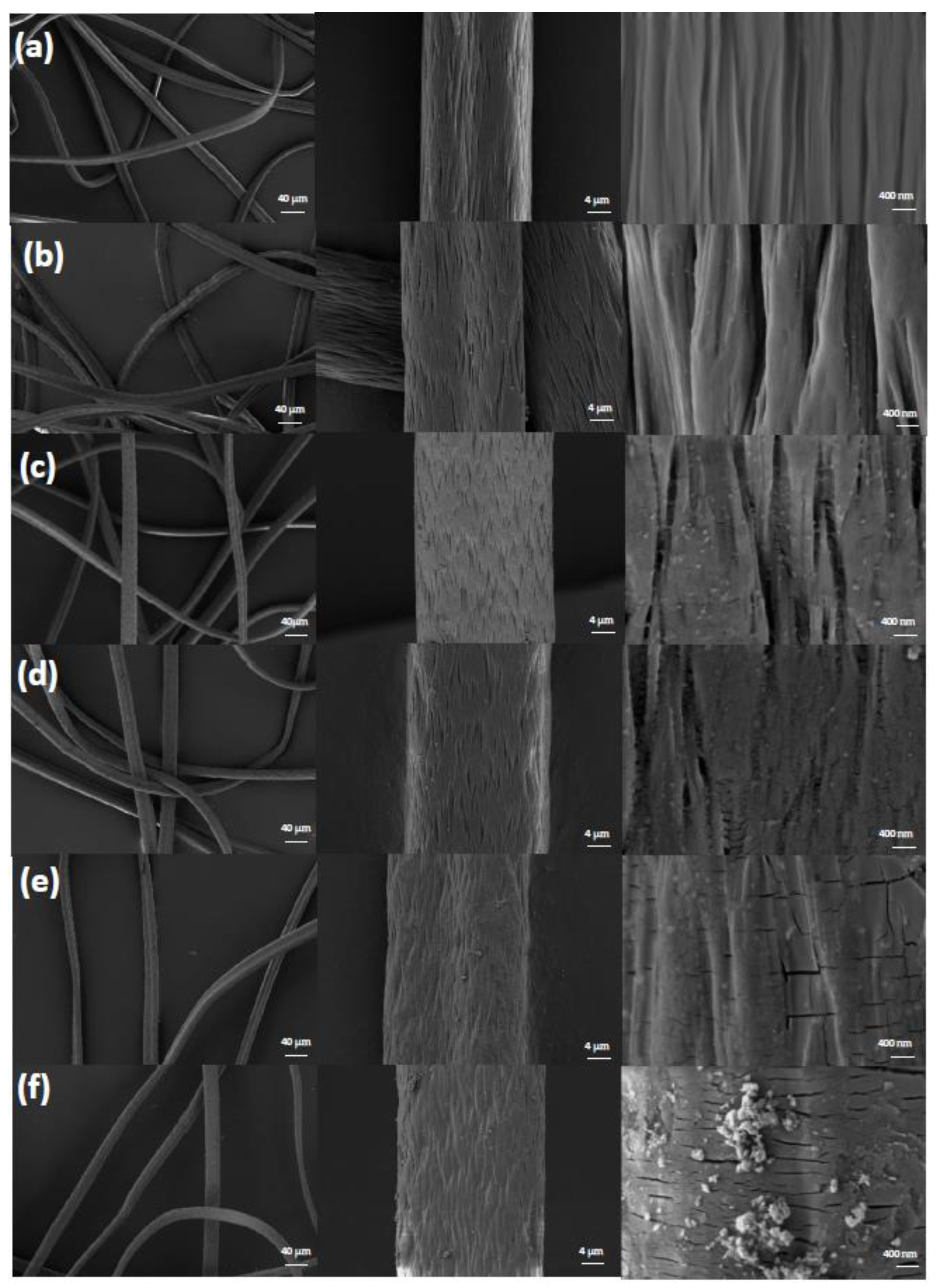 Polymers 15 01918 g002